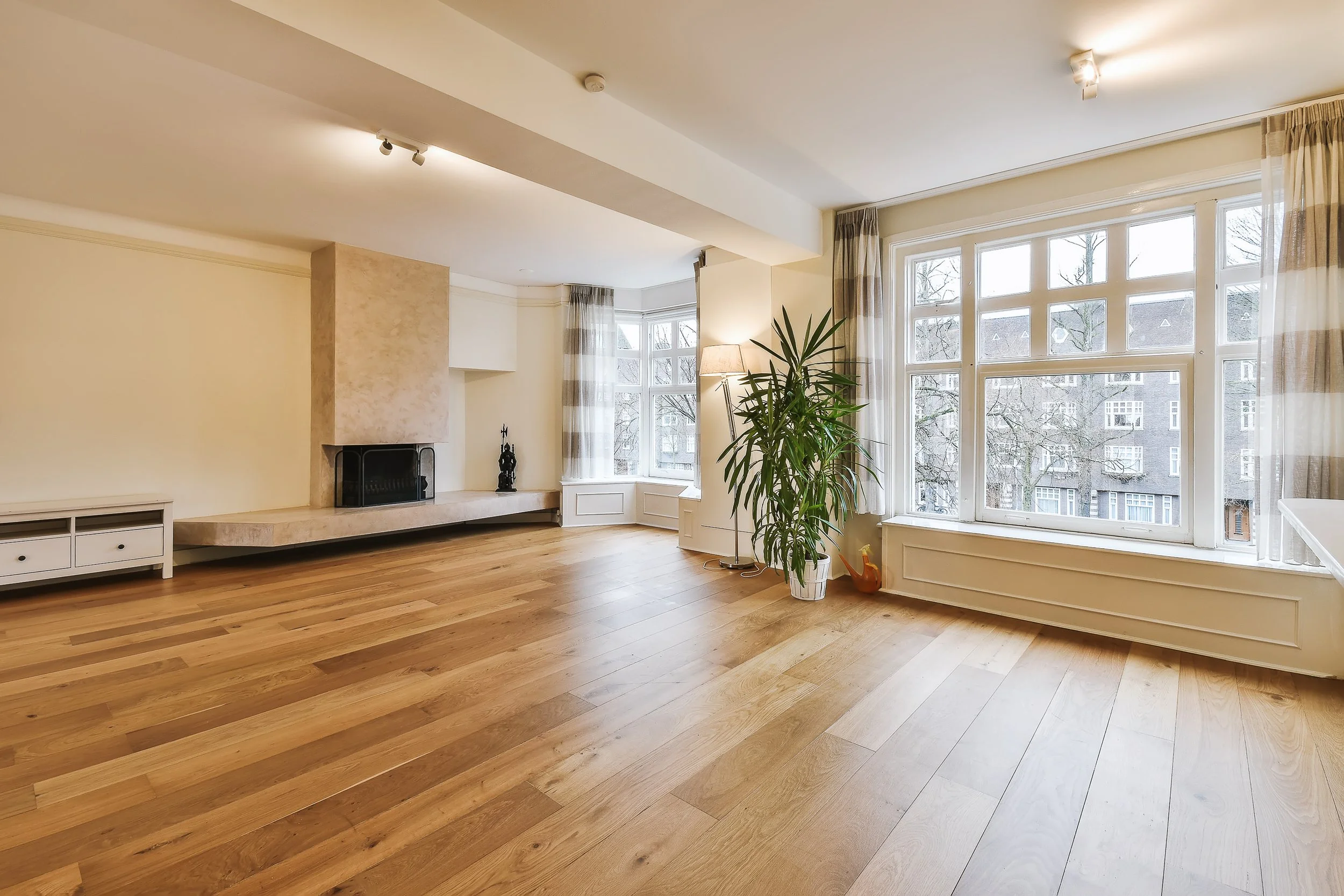 Empty living room with large windows, hardwood floor, fireplace, and a tall potted plant.