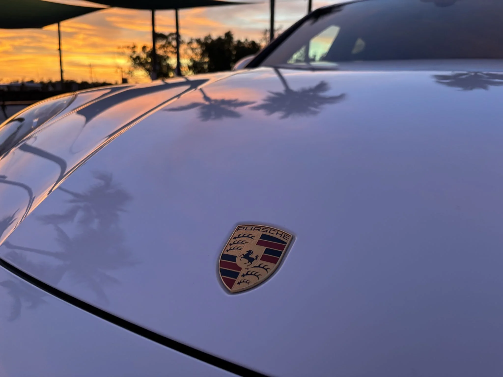 IMG_1089-81484-scaled (1).jpeg