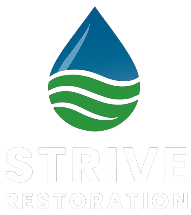 Strive Restoration 