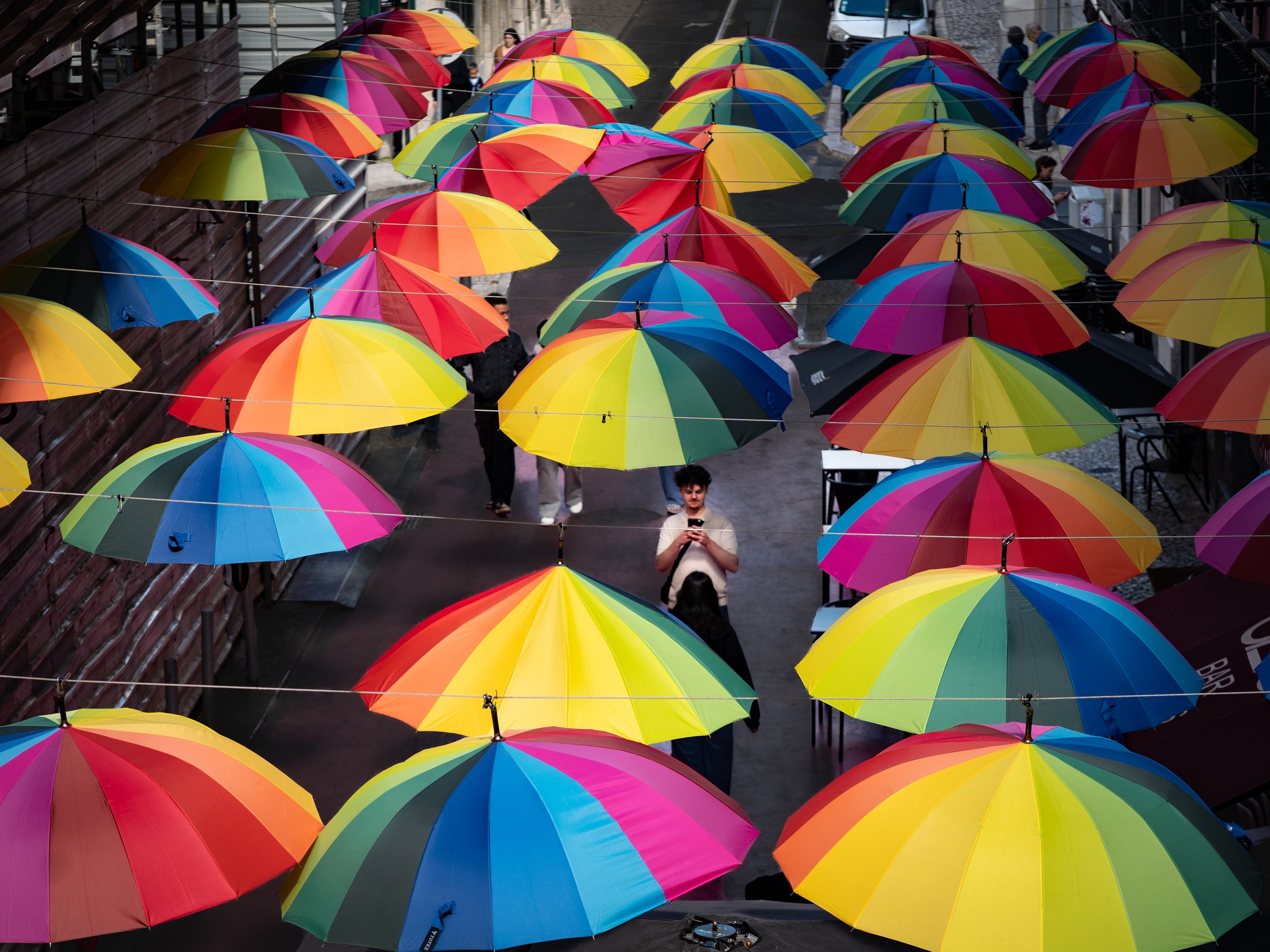 TDP03140.jpeg
