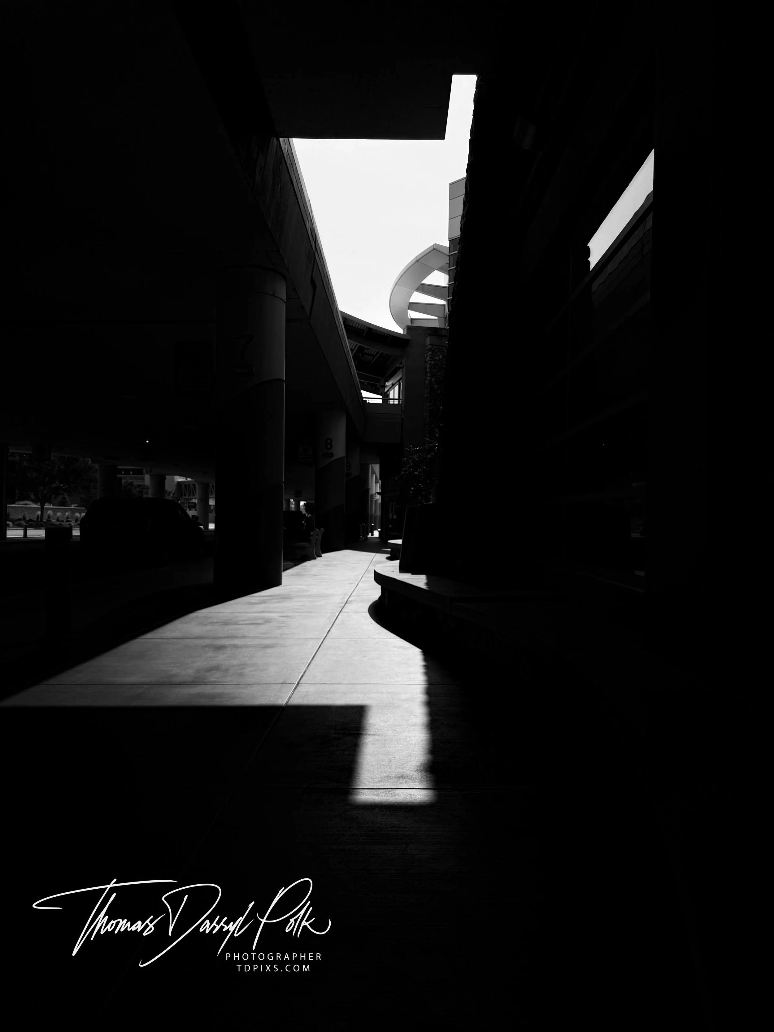 Where the Light Leads