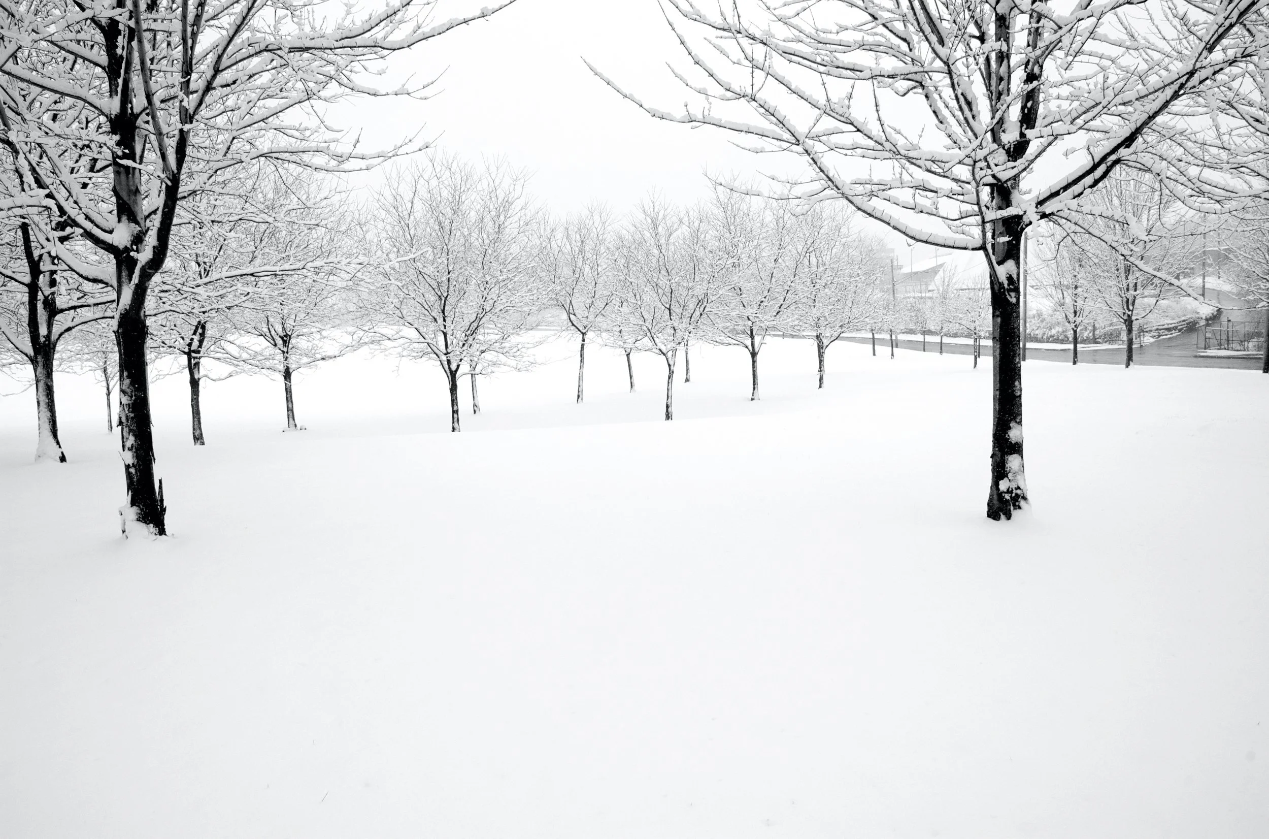 Winter Silence