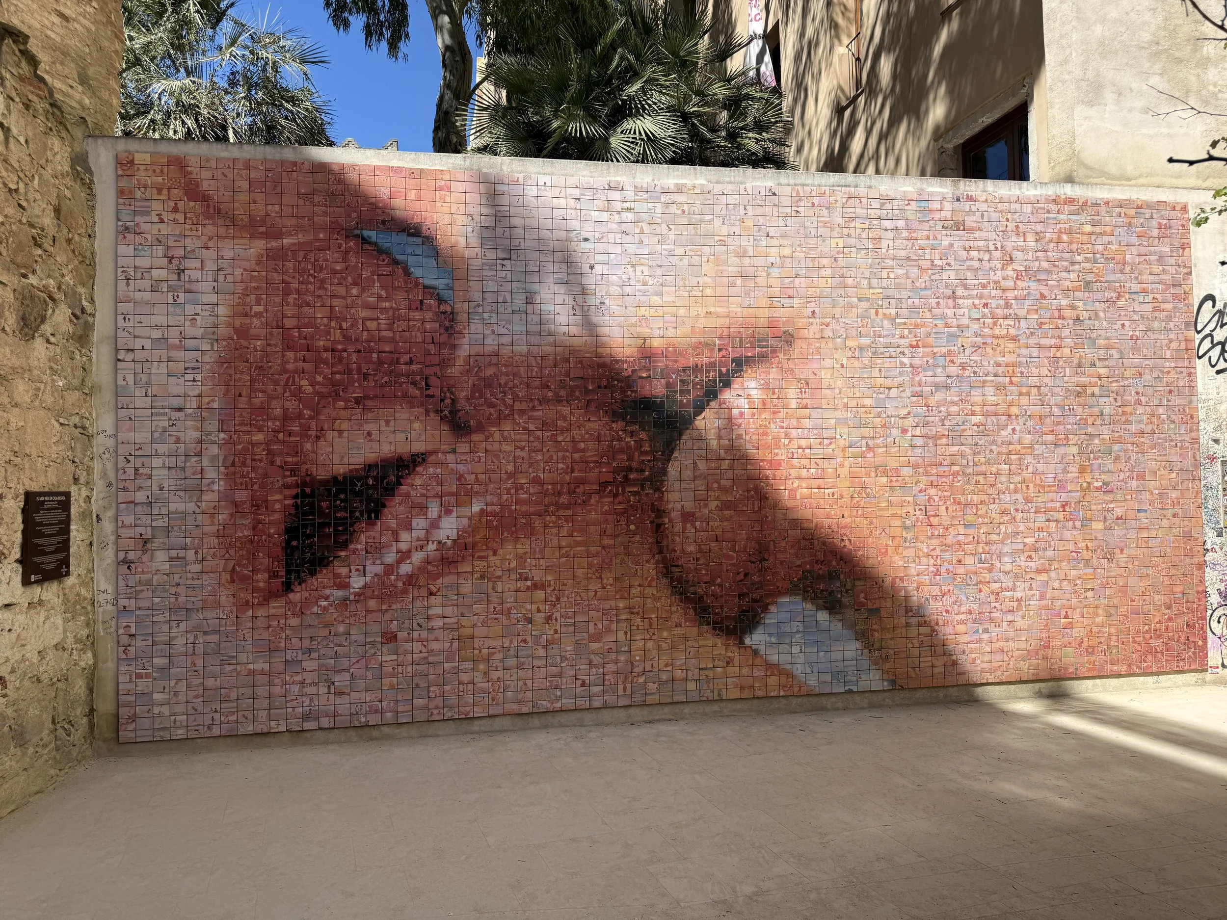 IMG_5446.jpeg