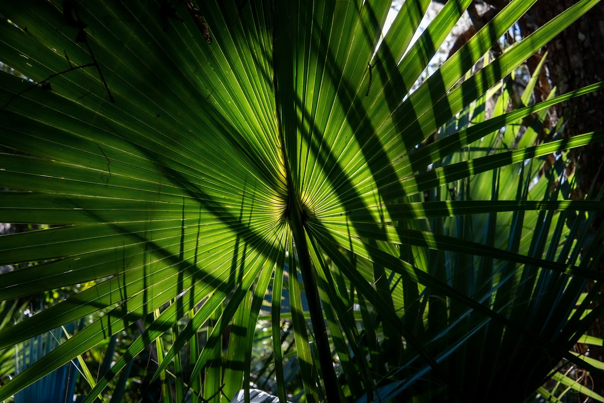 DSC00353.jpeg