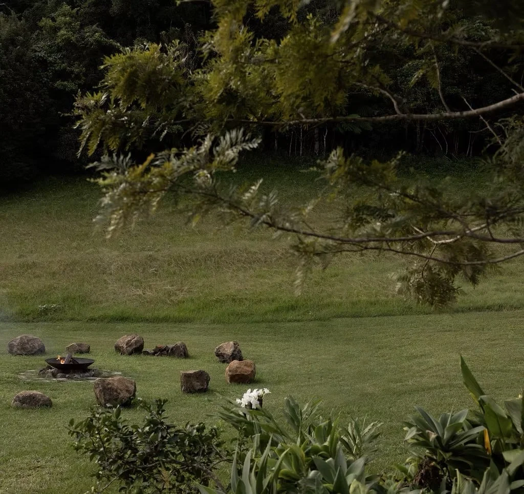A green yard with a fire pit surrounded by rocks, with trees and bushes in the background and foreground.