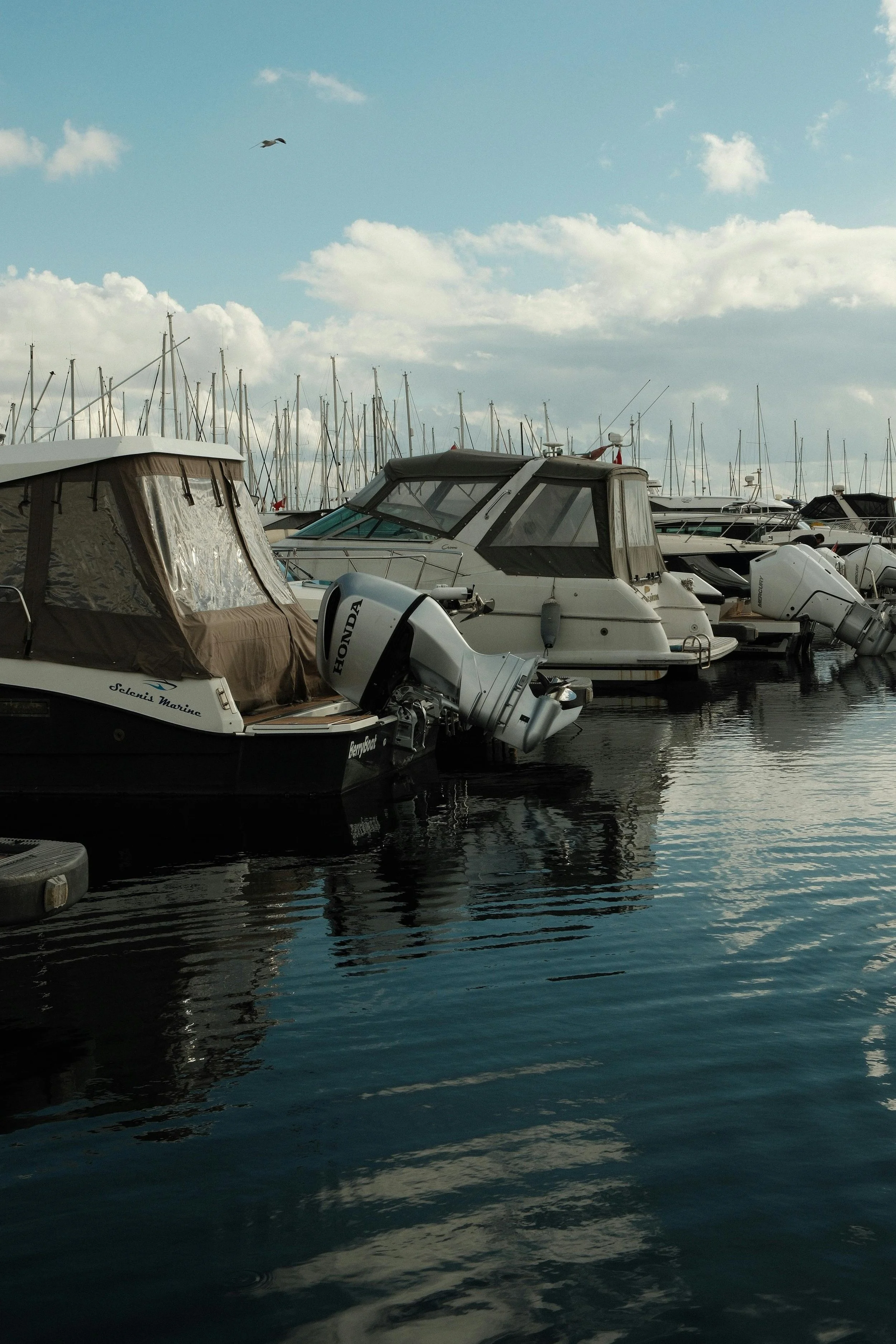 Zinc Replacement Service