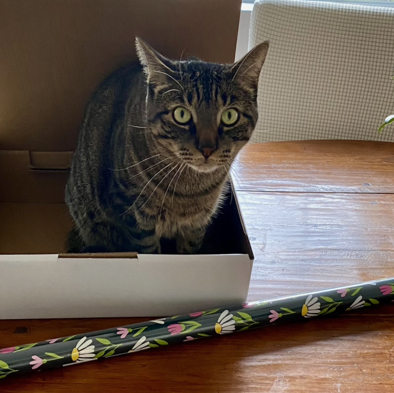 Screenshot 2026-02-10 at 6.23.05 PM.png