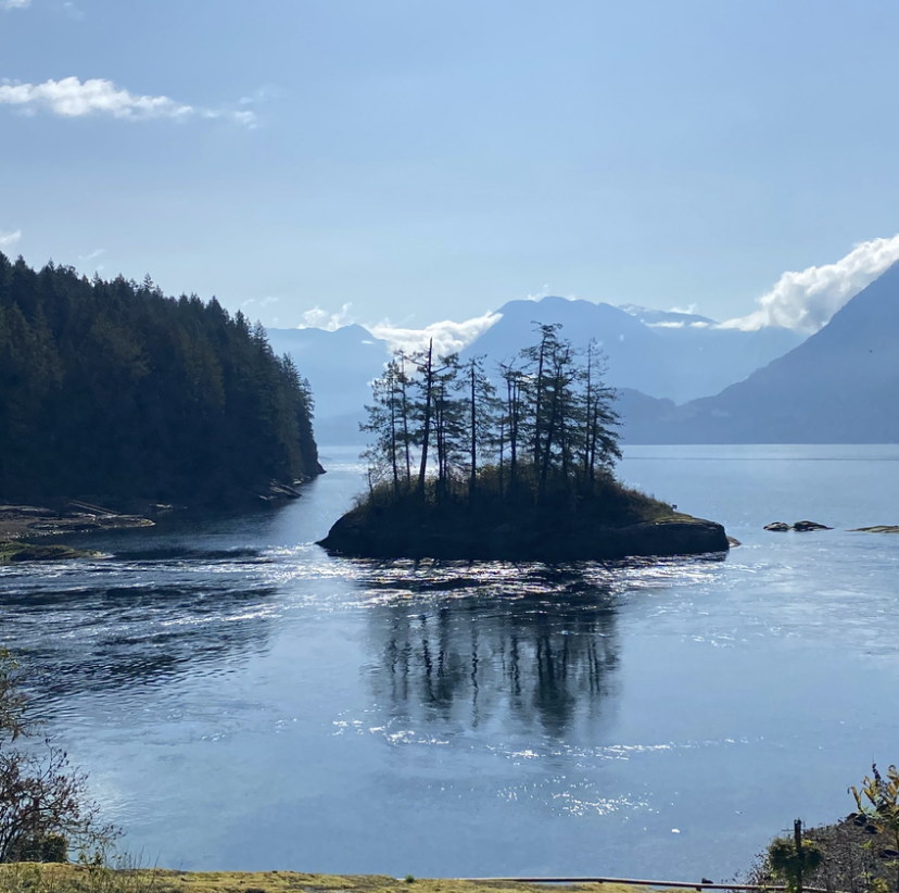 Screenshot 2026-02-10 at 6.23.12 PM.png