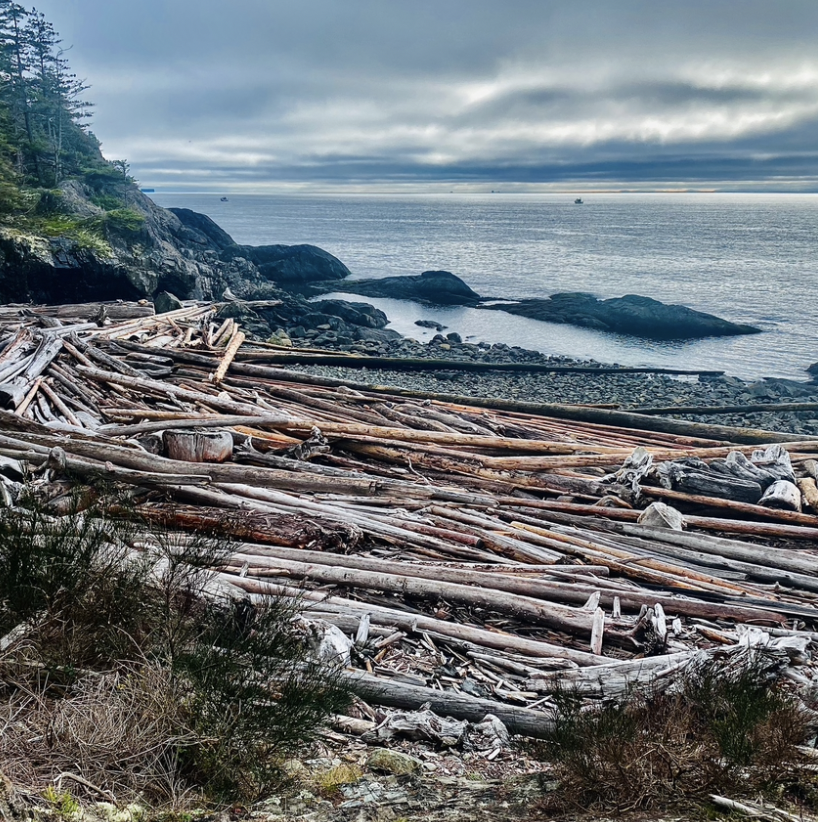 Screenshot 2026-02-10 at 6.23.38 PM.png