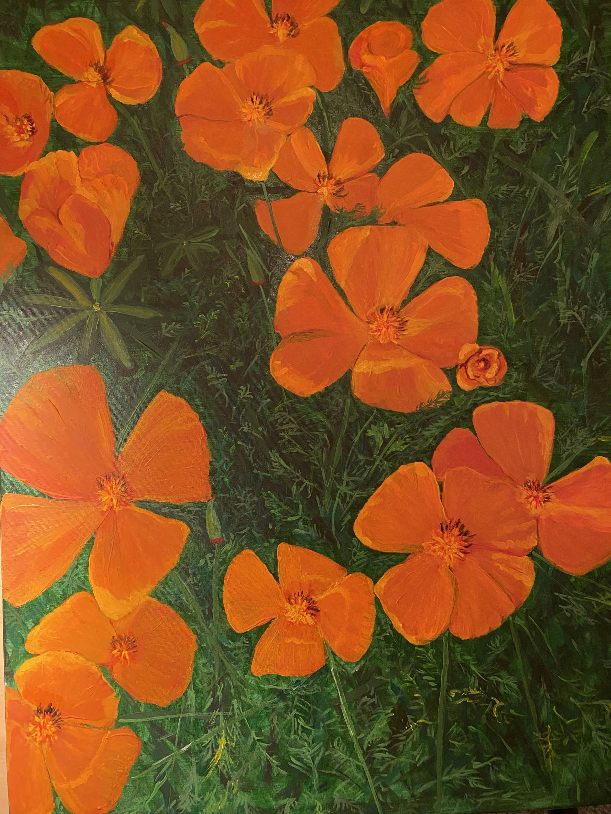California Poppies, 24x36, Acrylic on canvas (click on image to see full view)