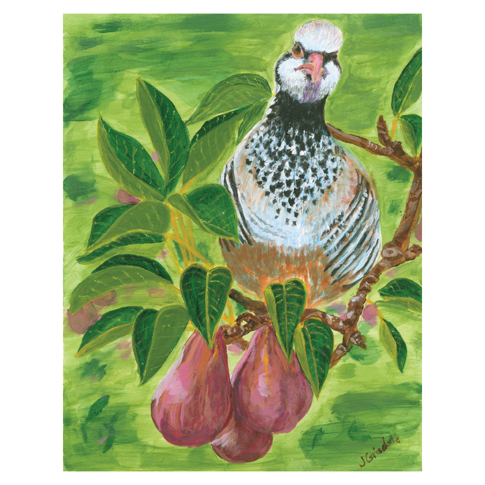 Partridge in a Pear Tree, 11x14, Acrylic, paper- 12 Days of Christmas series