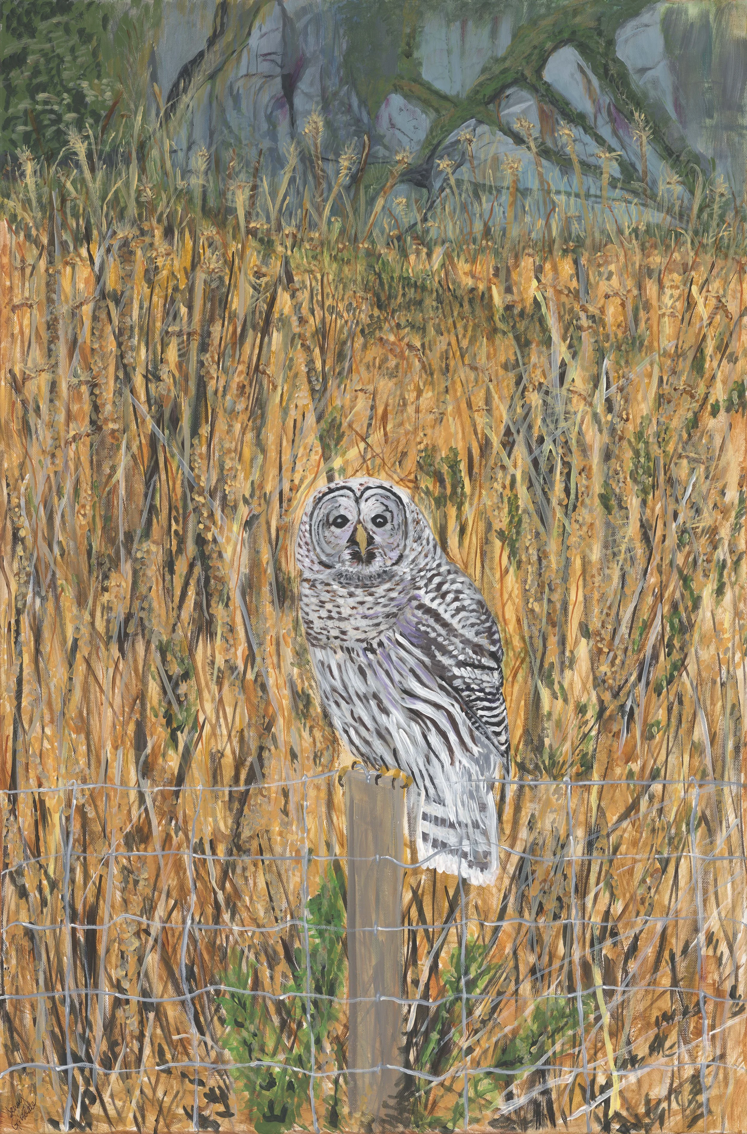 Barred Owl on Bowen, 24x36, Acrylic on canvas (click on image to see full view)