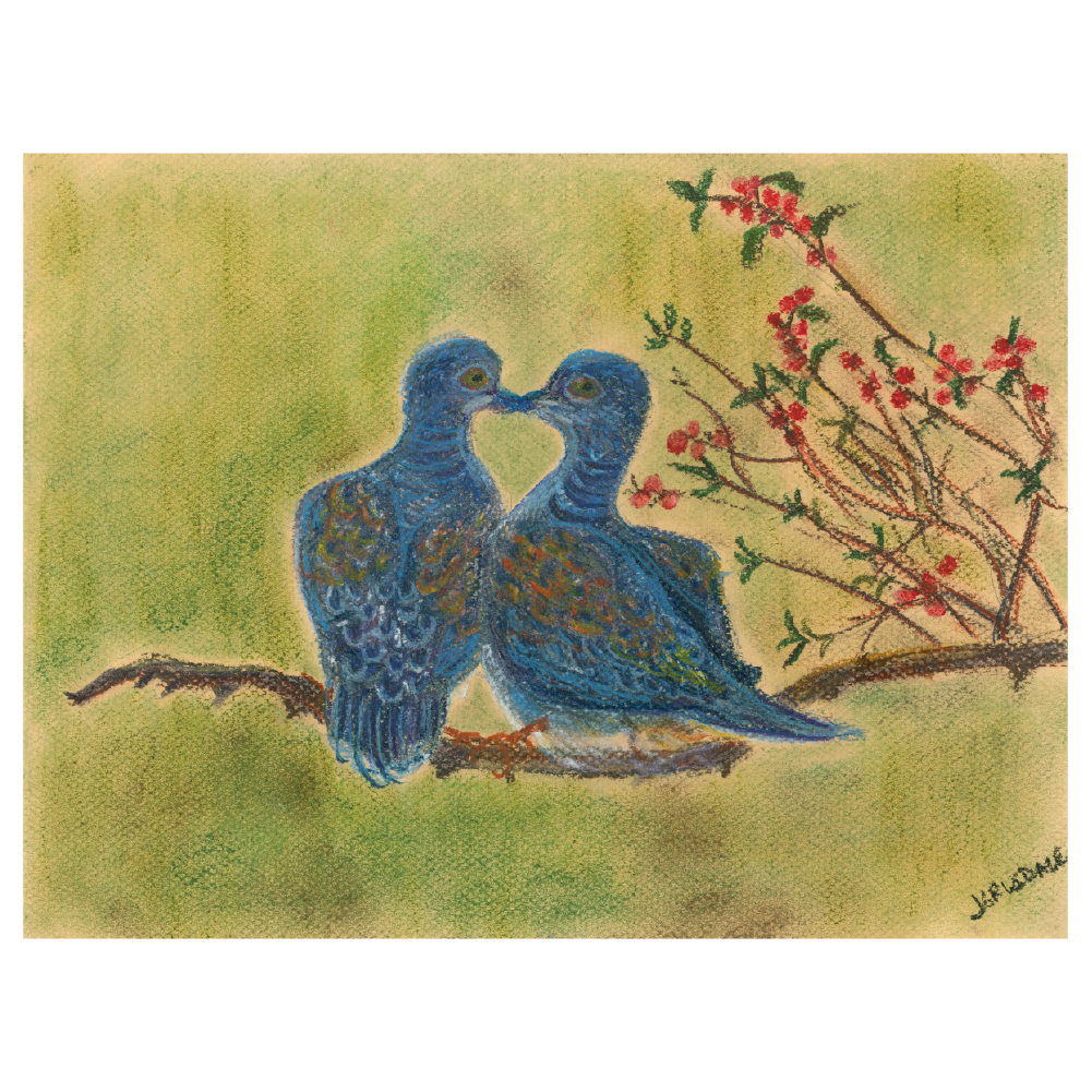 Two Turtle Dove, 12x9, Pastel, paper - 12 Days of Christmas Series