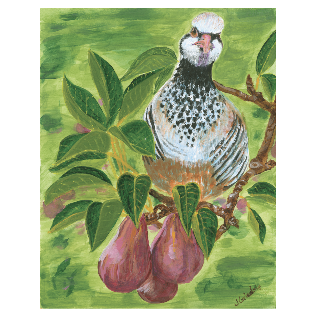 Screenshot 2026-02-19 at 1.56.35 PM.png