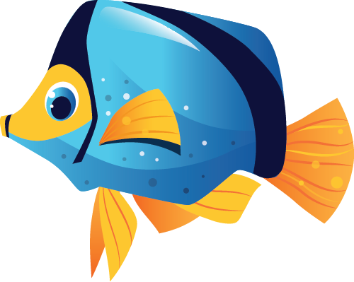 Little splashers Child Swimming program