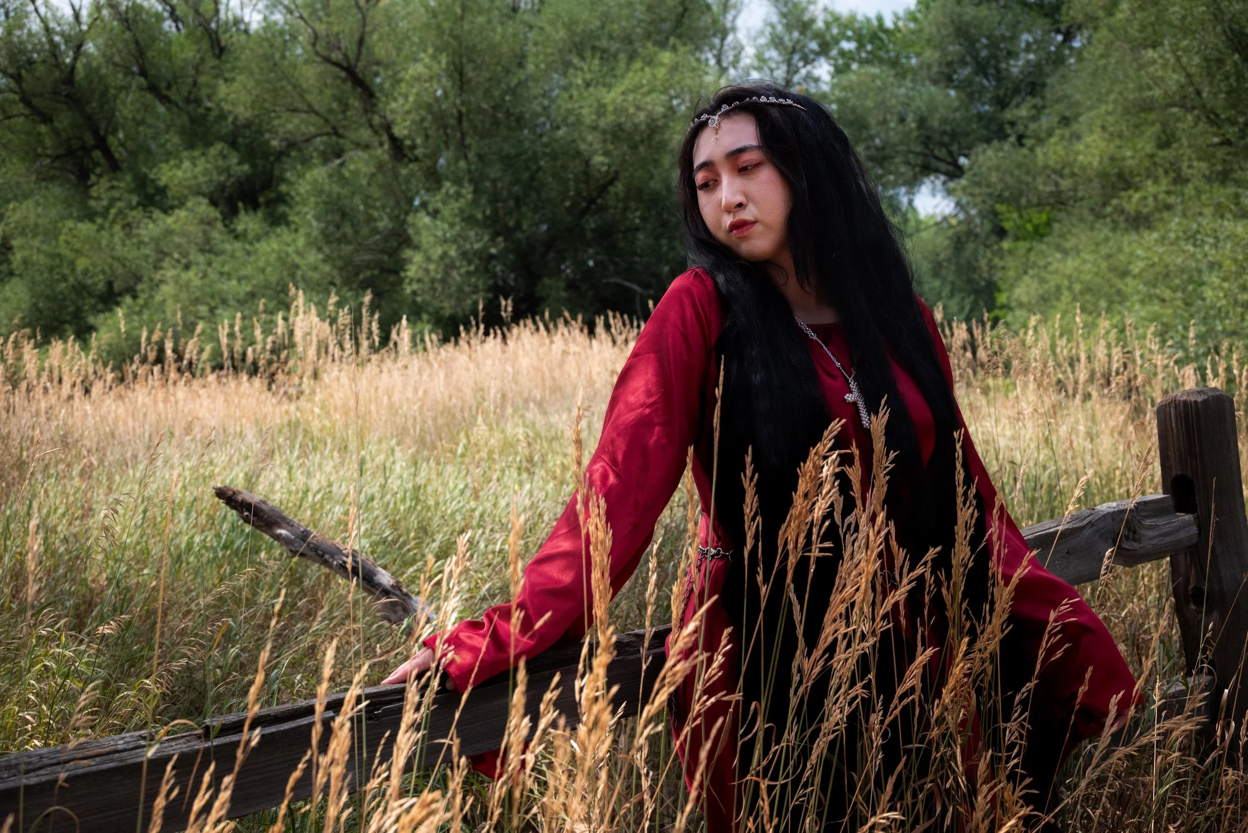 A young woman with long black hair and a silver headpiece, wearing a red dress with long sleeves, leaning on a wooden fence in a field of tall golden grass, with green trees in the background.