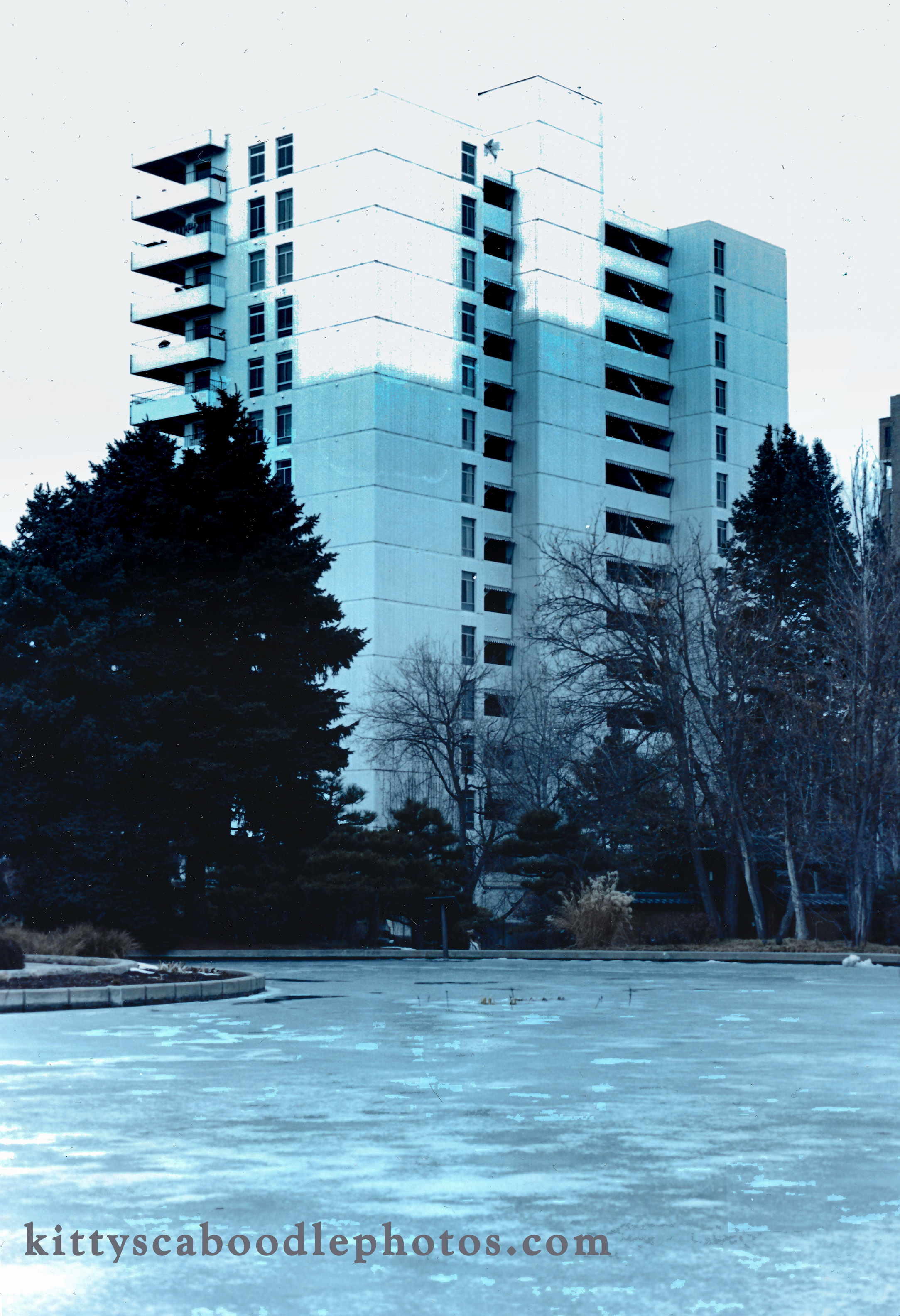 Iceberg digital download
