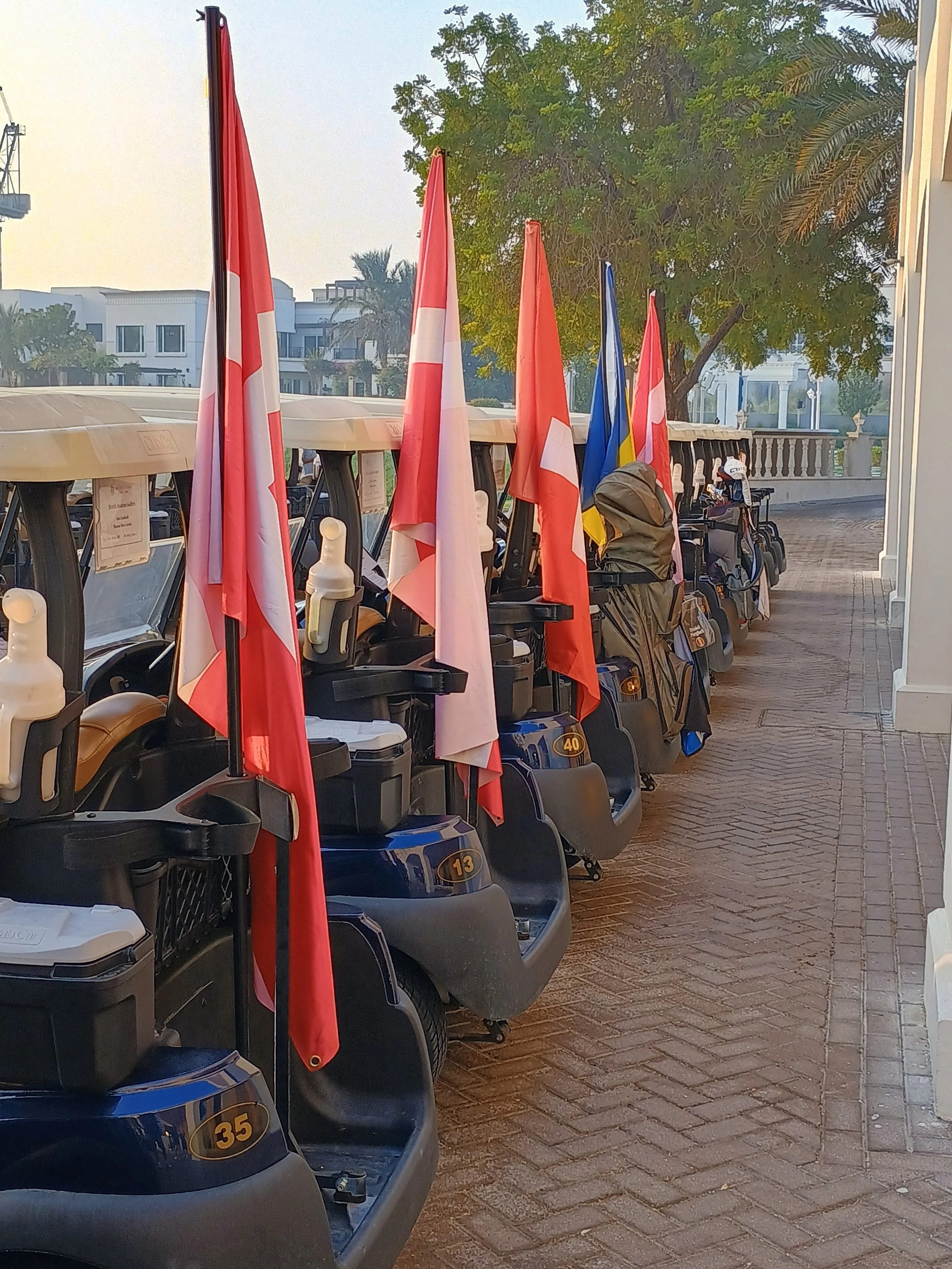 Row of golf carts with flags lined along a sidewalk, with a tree and white buildings in the background.