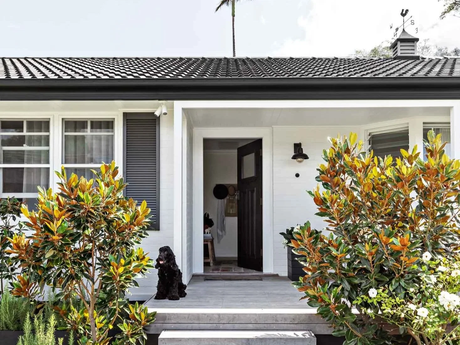 Ways To Fund A Renovation With A Bank Australia Green Construction Loan