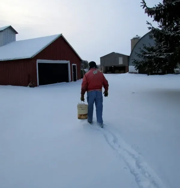 Cultivating Core Strength: The Foundation of Lasting Health