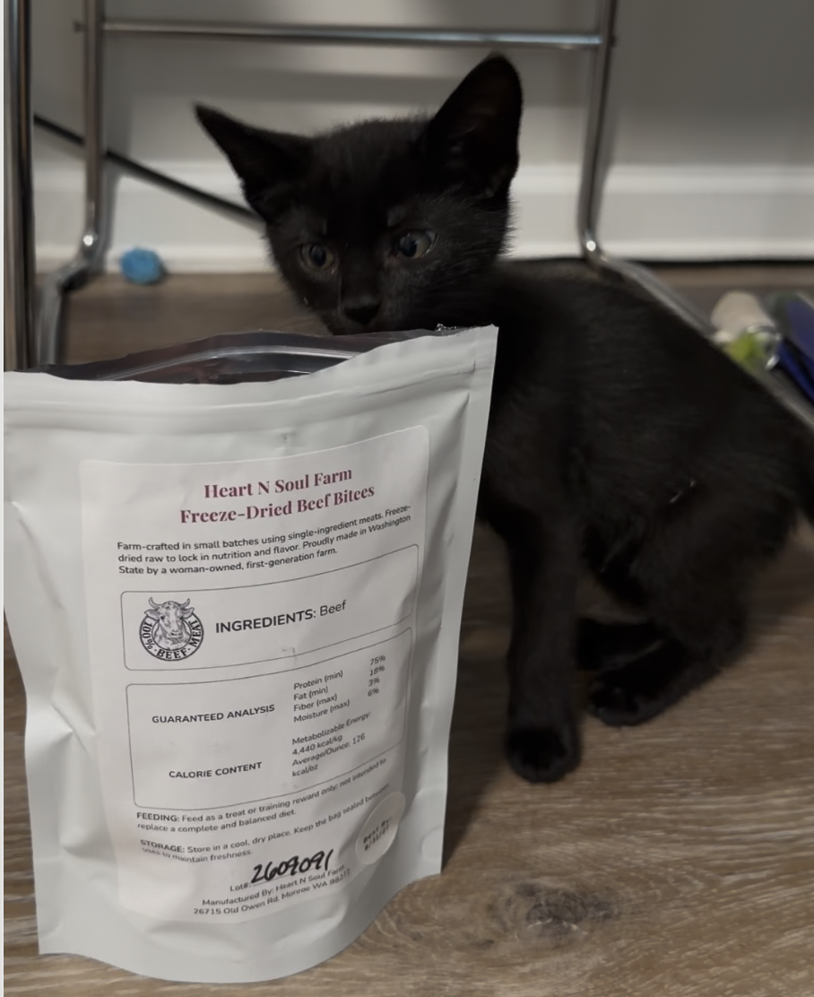 A black kitten peering into a bag of Heart N Soul Freeze-Dried Beef Bites - dog & cat treats