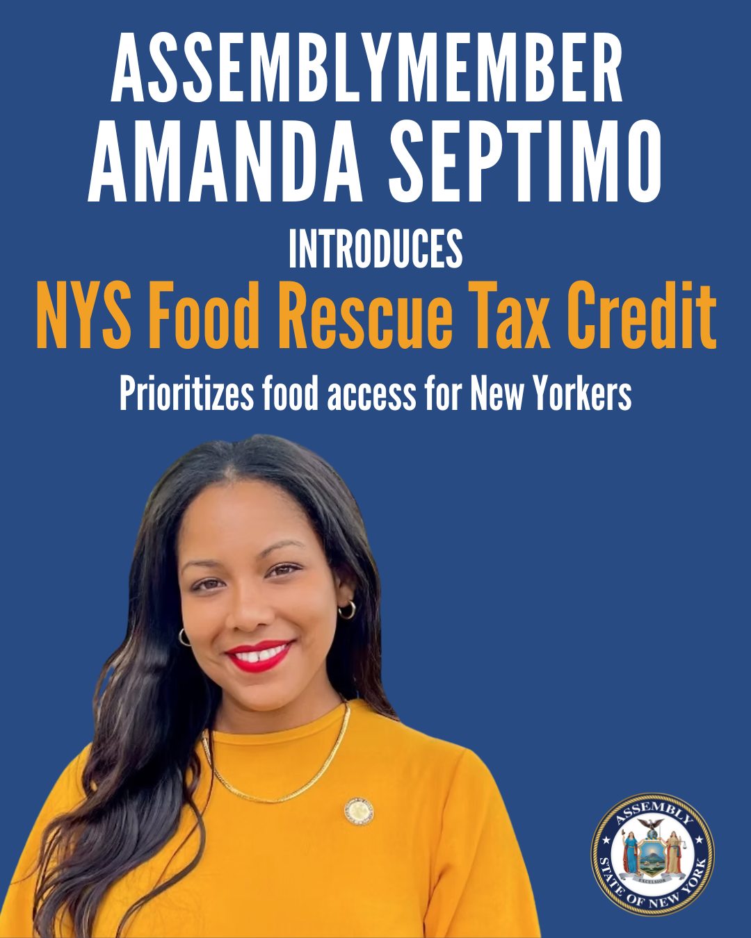 Poster featuring a woman with long black hair, wearing a yellow top and red lipstick, promoting the New York State Food Rescue Tax Credit introduced by Assemblymember Amanda Septimo. The poster includes the NYS Assembly seal and text highlighting the