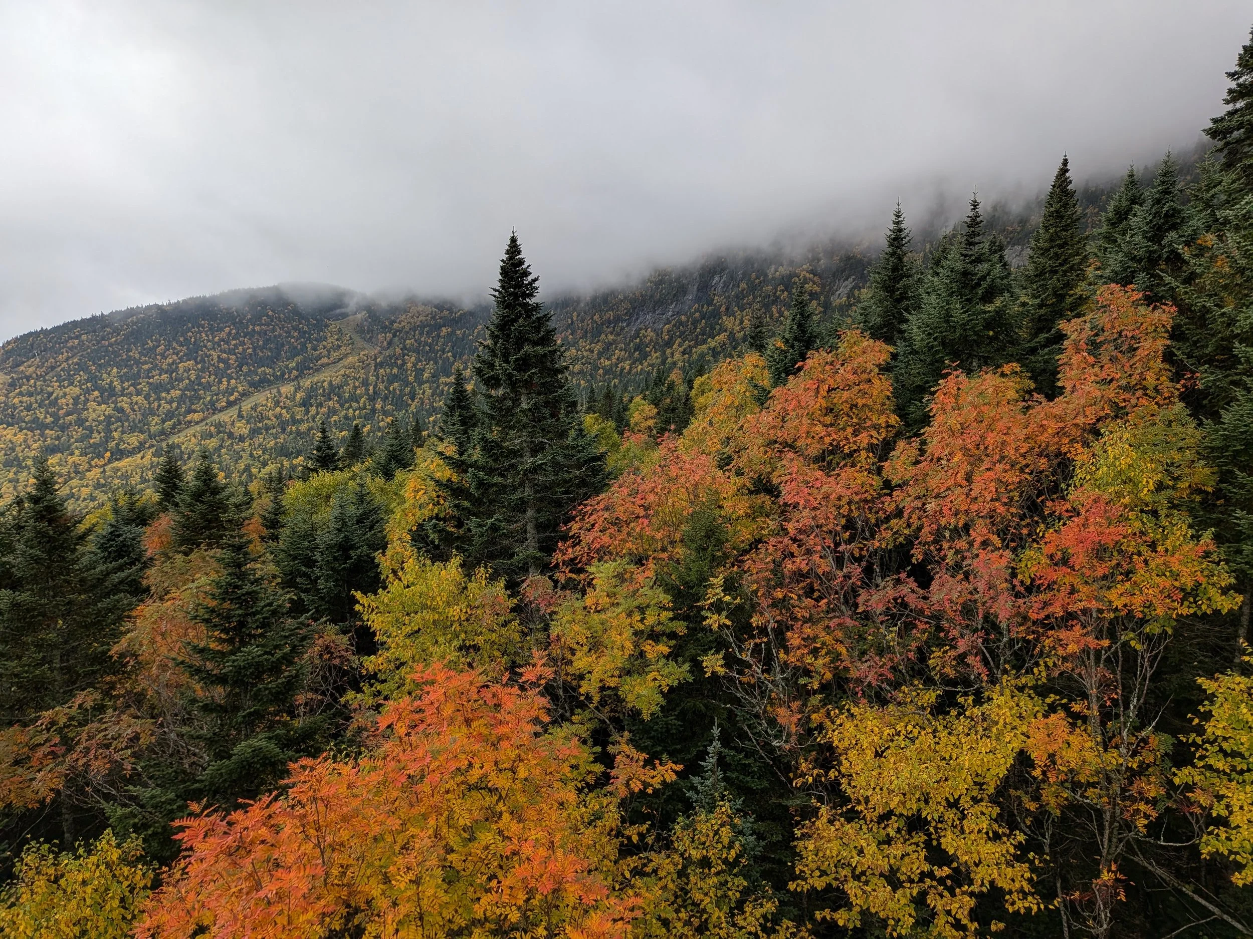 Transition Intensive