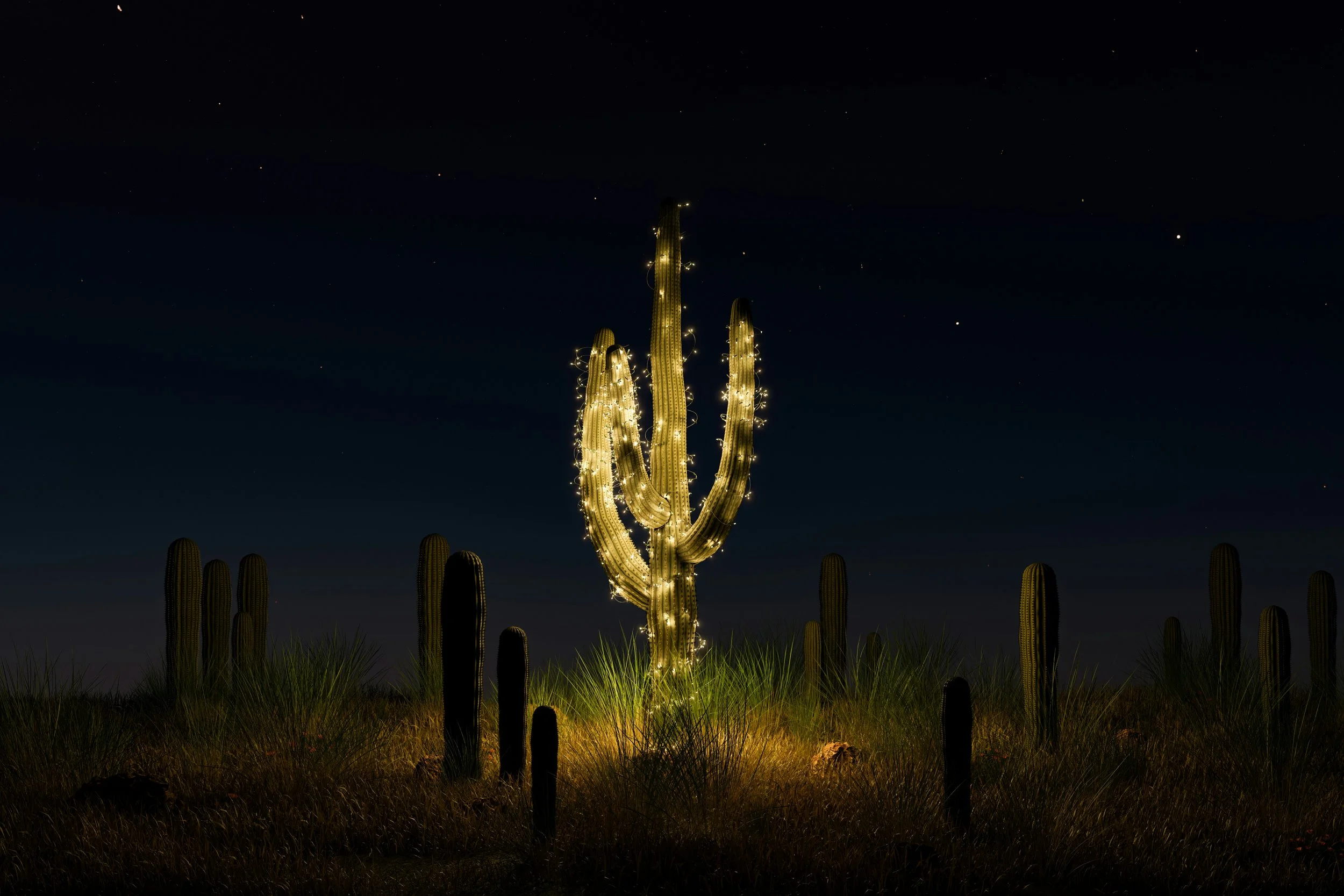 Finding Jesus in Unexpected Places at Christmas