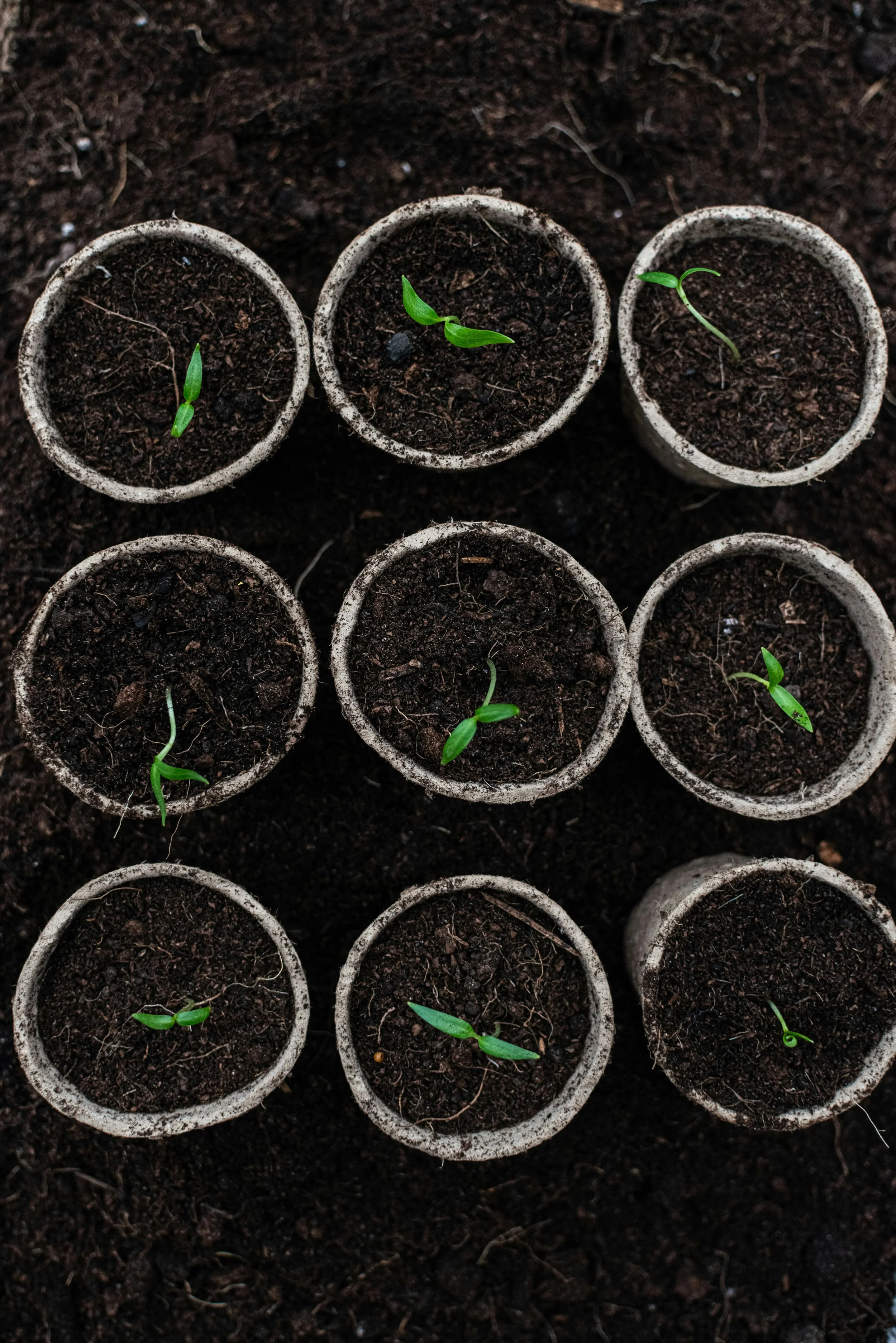 Don’t Dismiss Small Wins of Spring