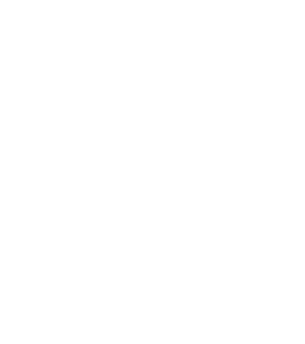 Spring Harbour Dumplings