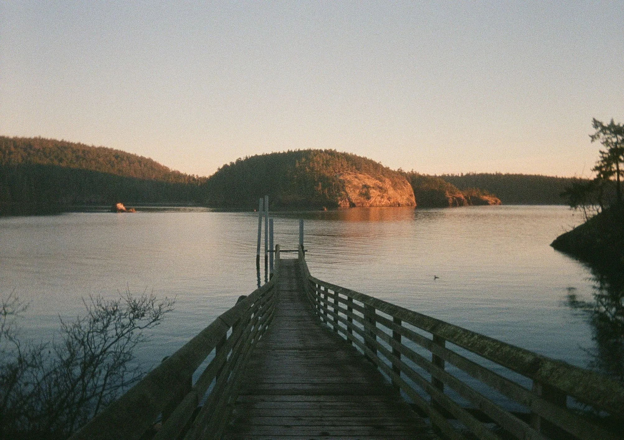 Scan275117.JPG