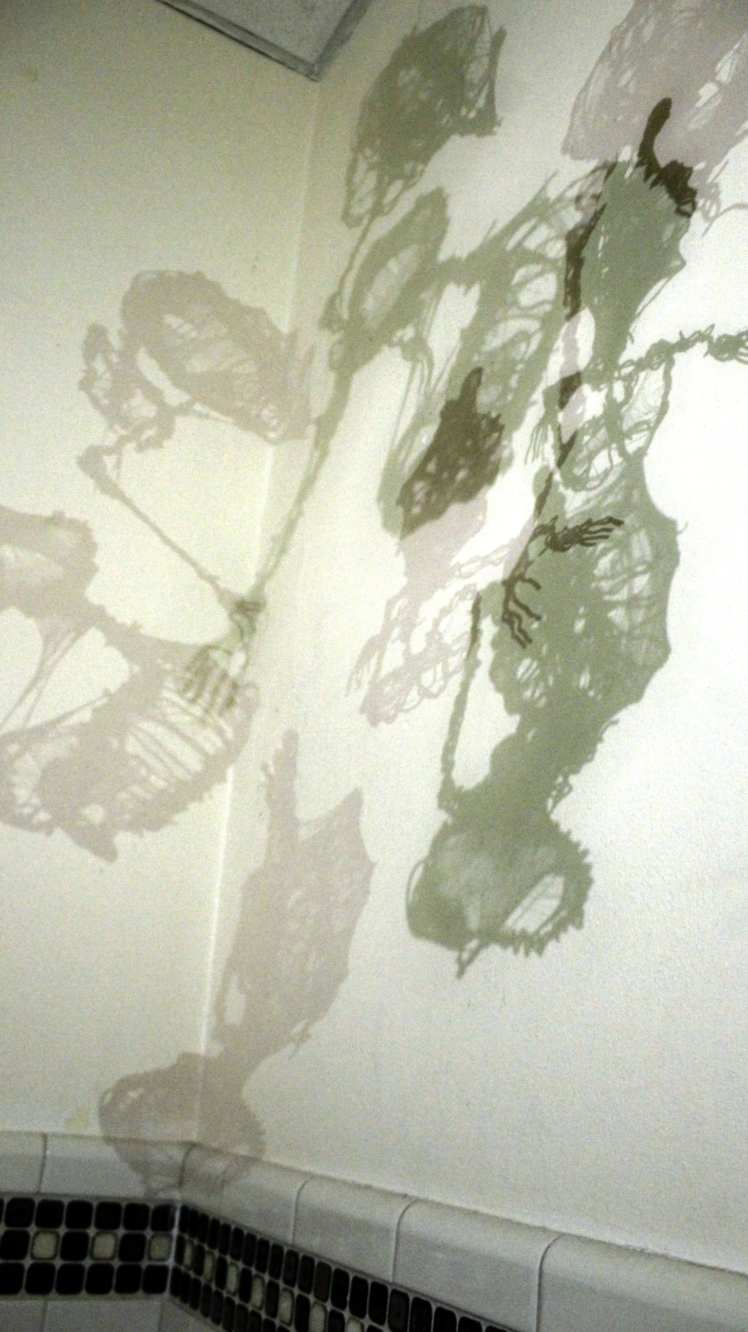 Final Shadows-Flores-SYS-Rubin.JPEG