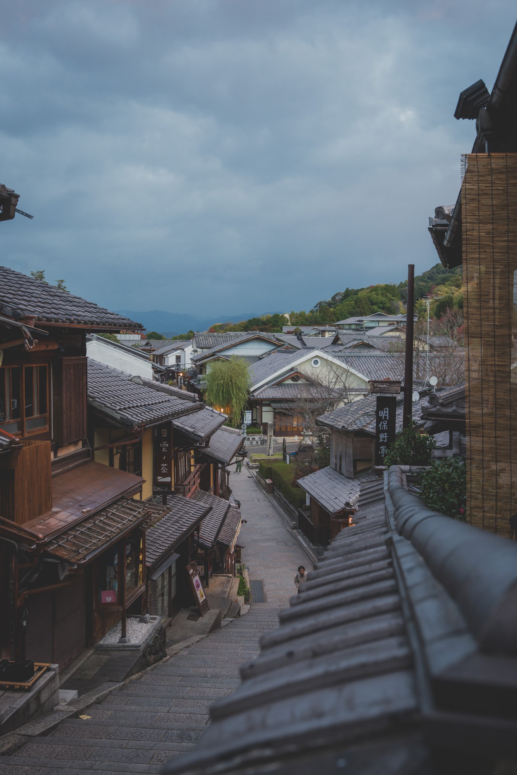 Restaurant Review: Tempura Endo Yasaka (North)