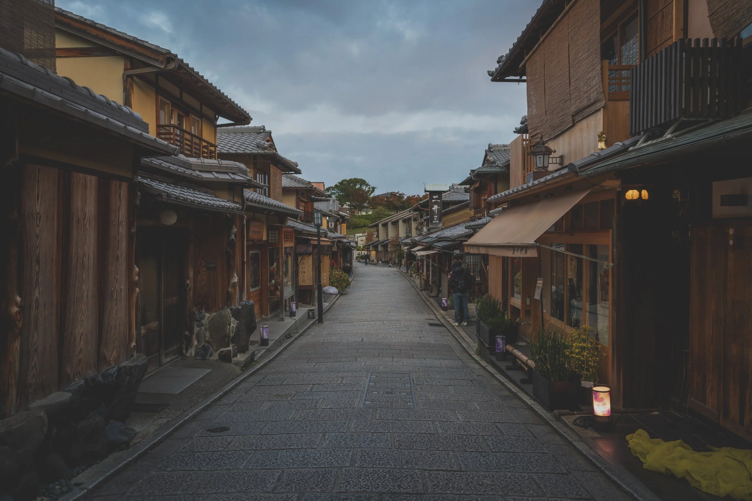 Tempura Endo Yasaka (North)