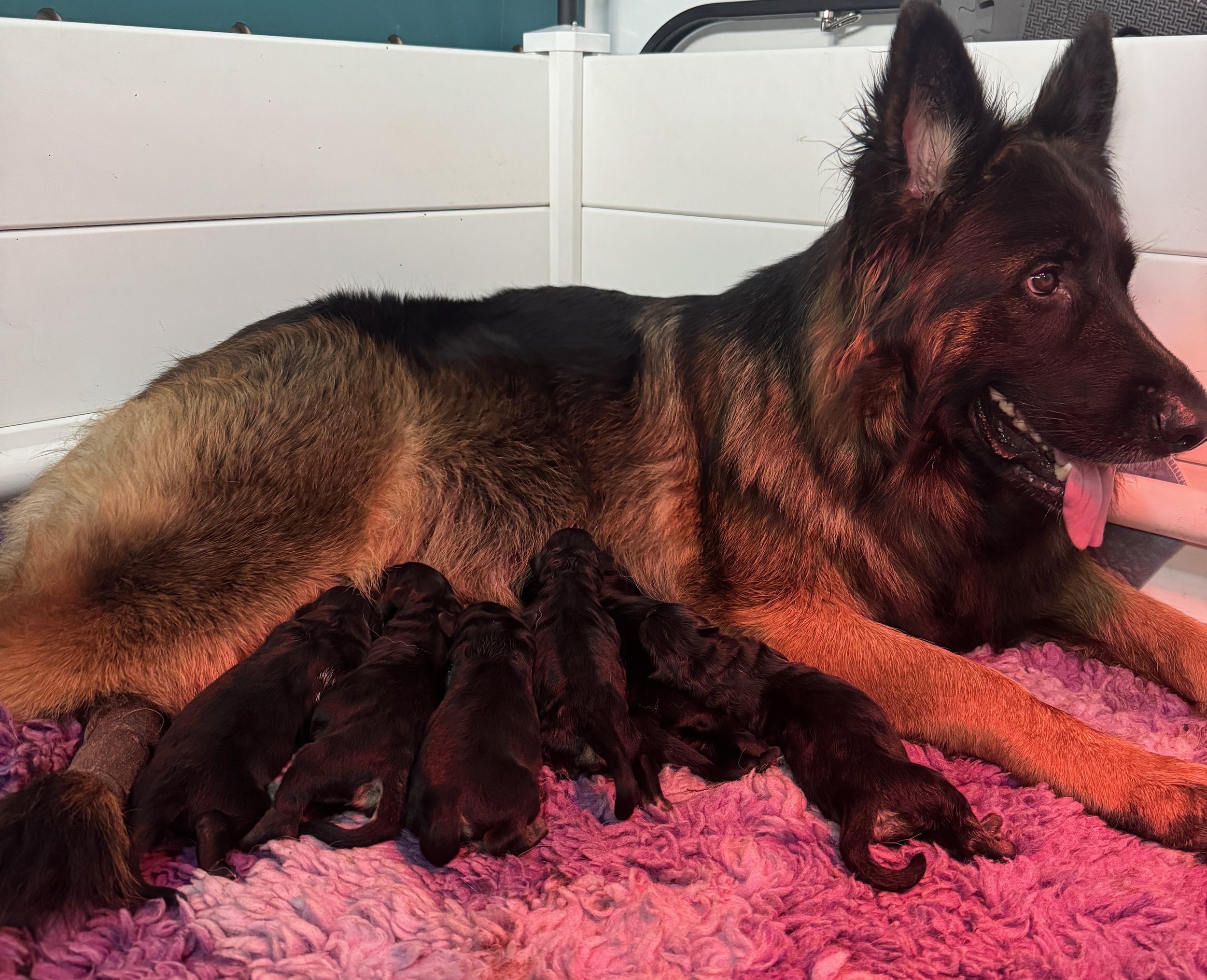 The Birth, the beautiful, the hard and why I will never go it alone