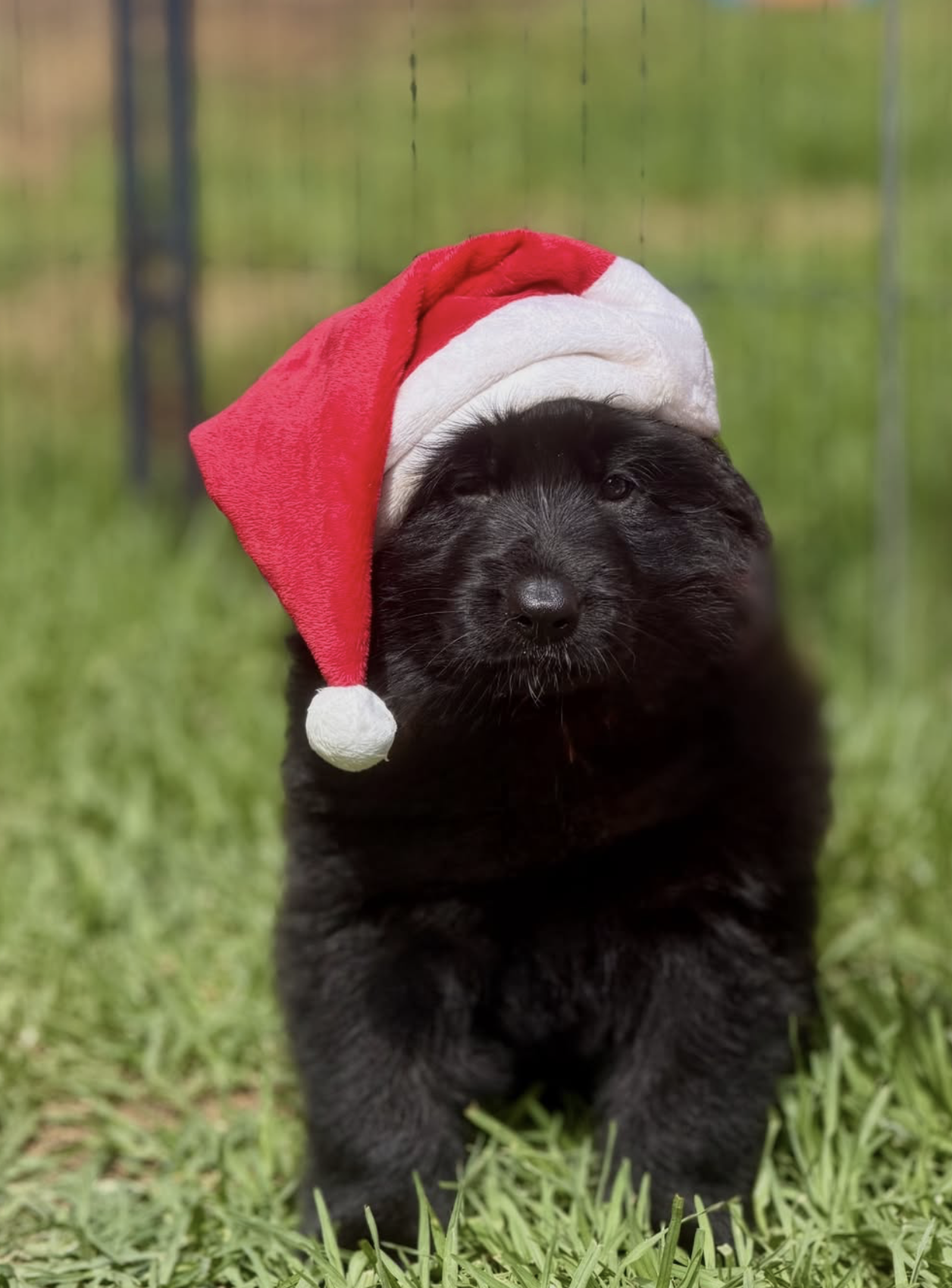 Screenshot 2025-12-28 at 11.29.41 pm.png