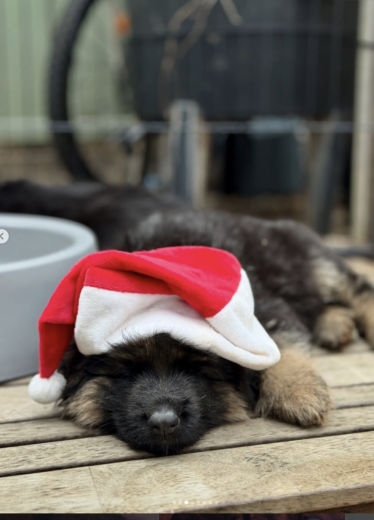 Screenshot 2025-12-28 at 11.30.03 pm.png