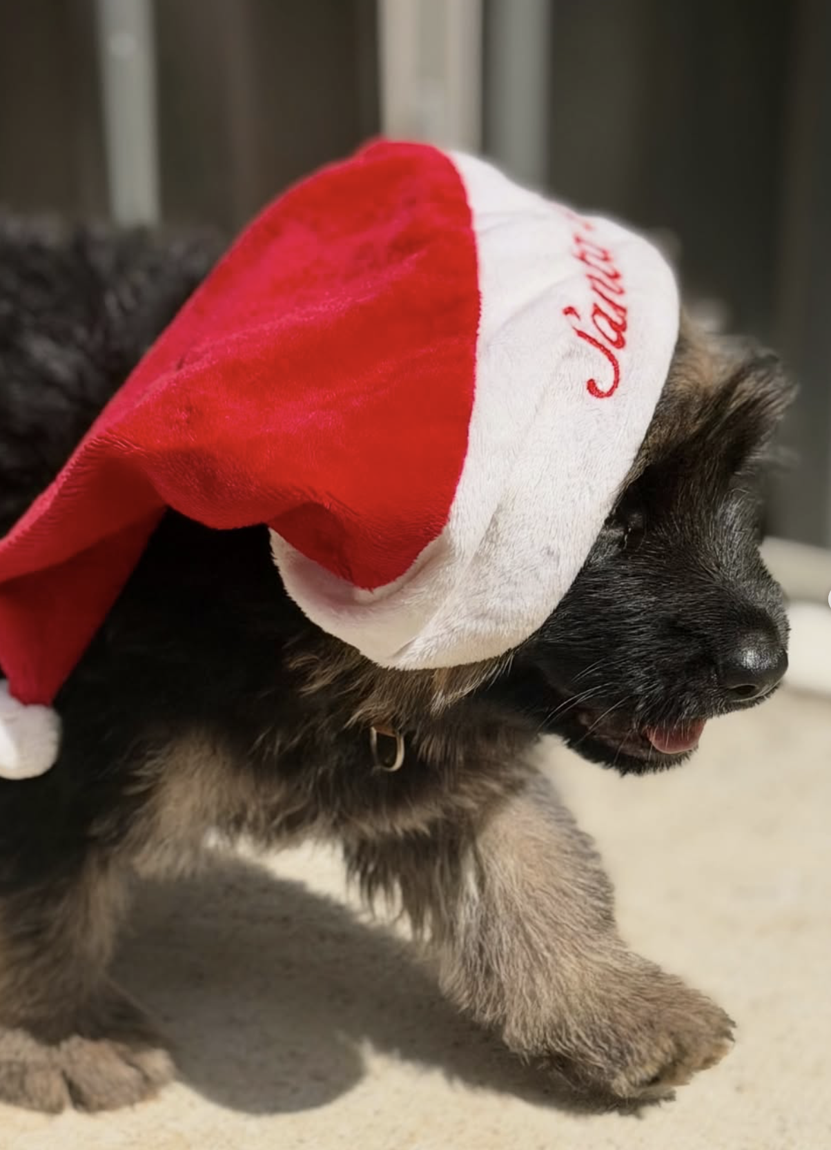 Screenshot 2025-12-28 at 11.30.35 pm.png