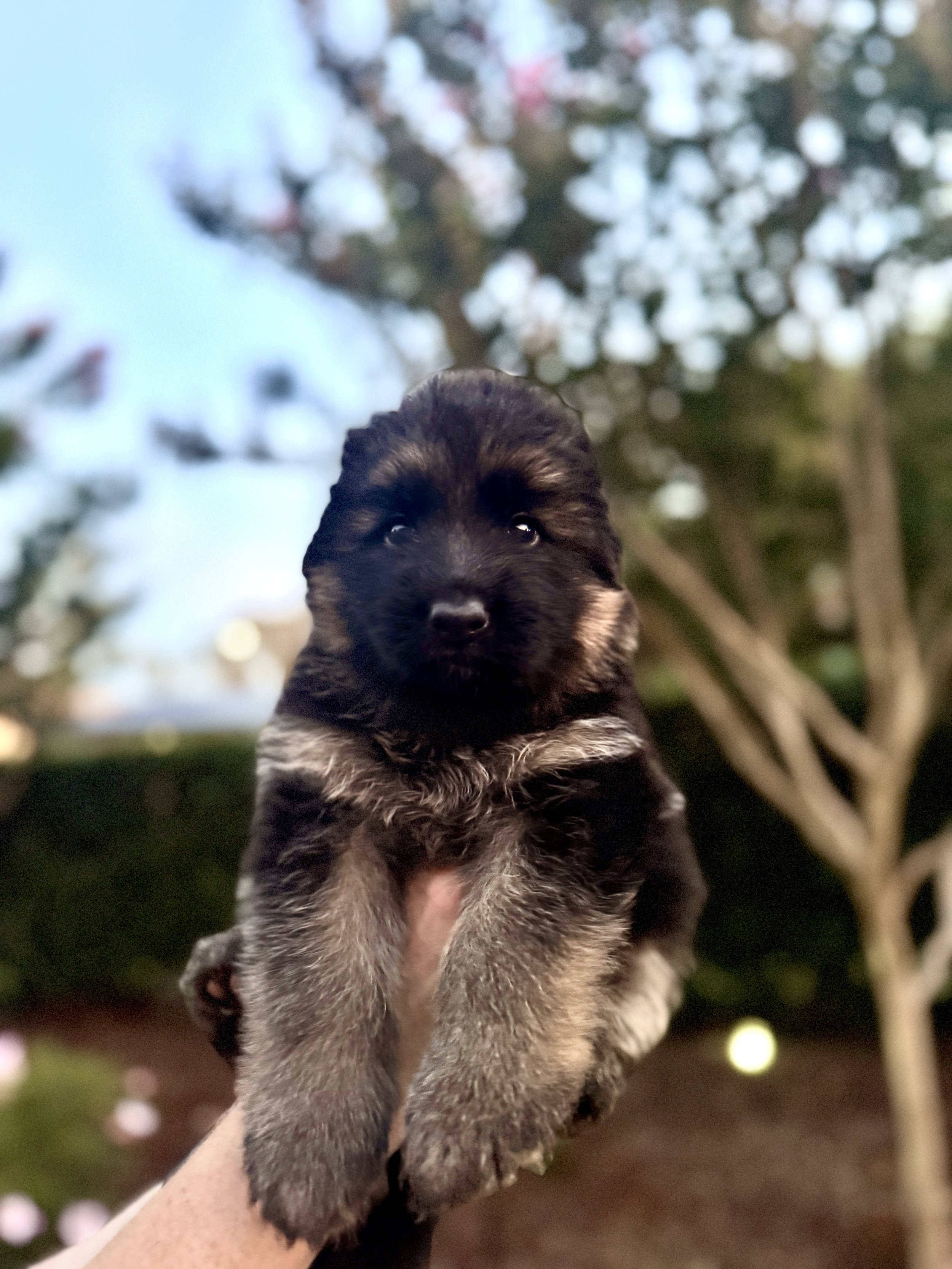 Four weeks and everything is getting bigger