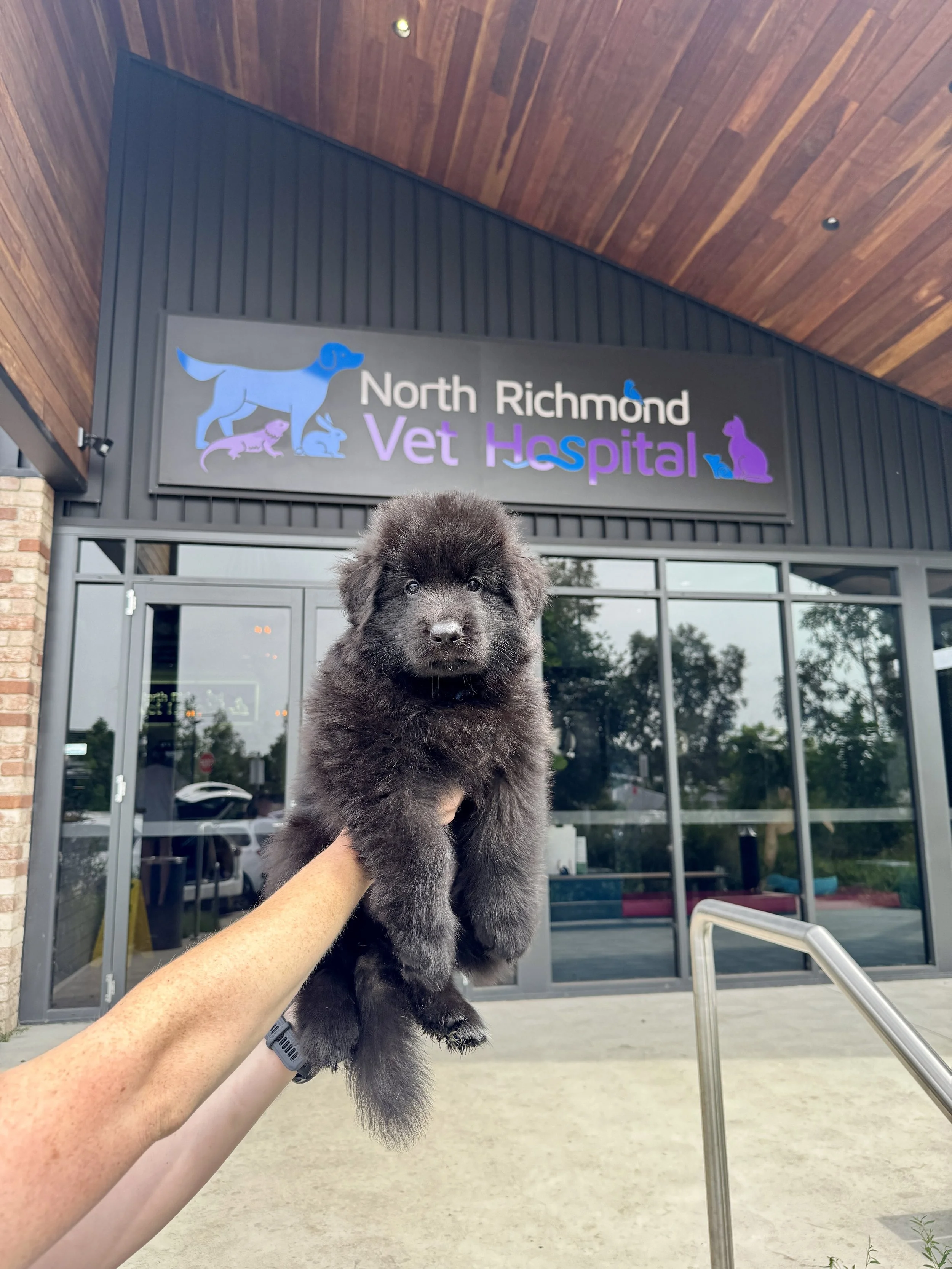 Big Adventures for tiny paws