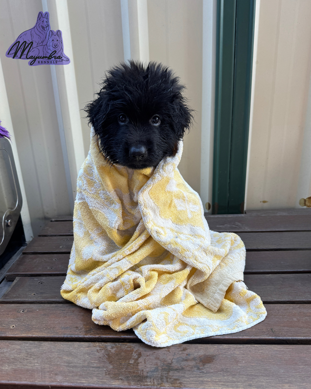 Potato in a blanket - Babies First Baths