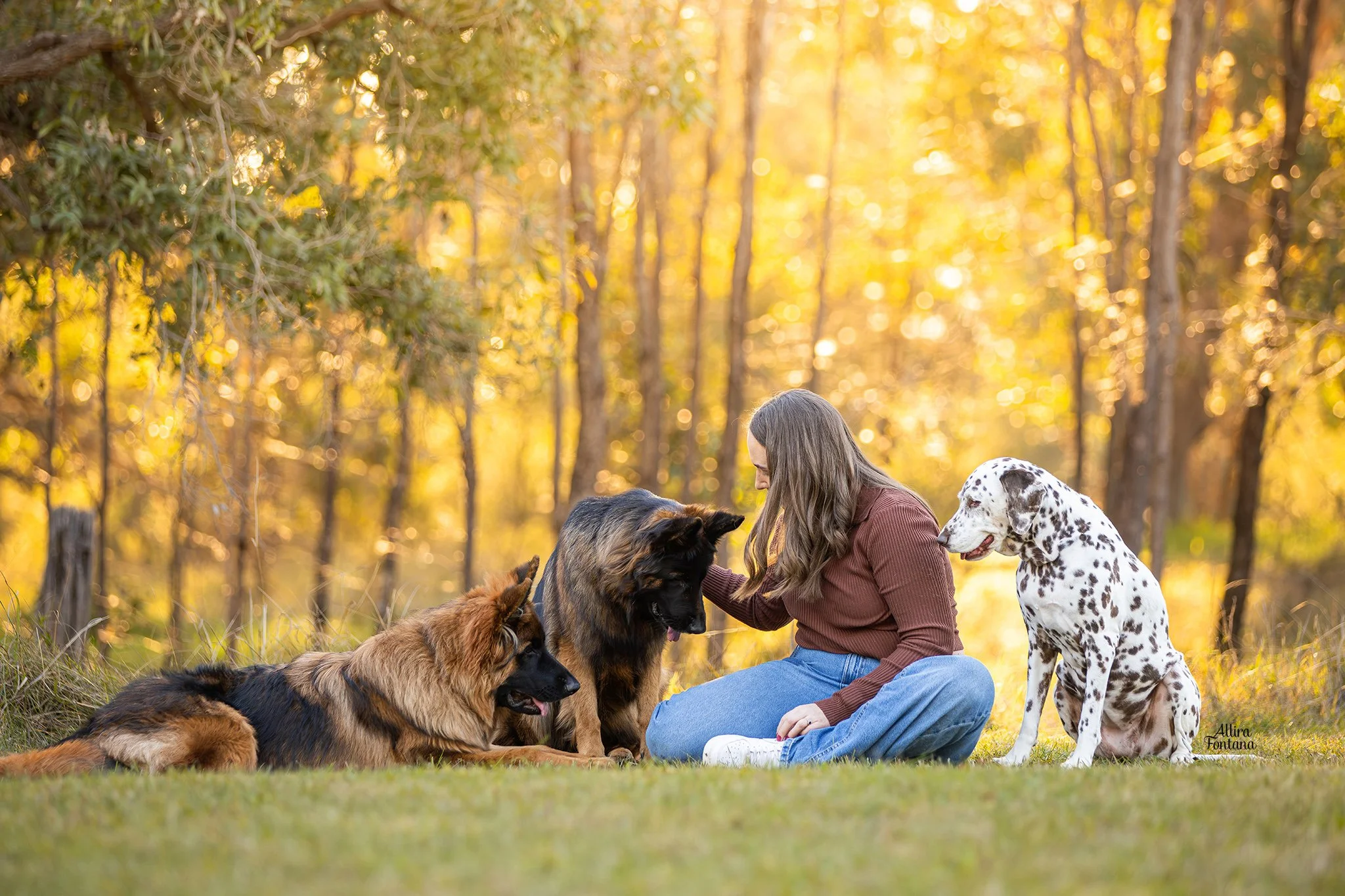 This Dog is not like your last one… so stop comparing them!!!