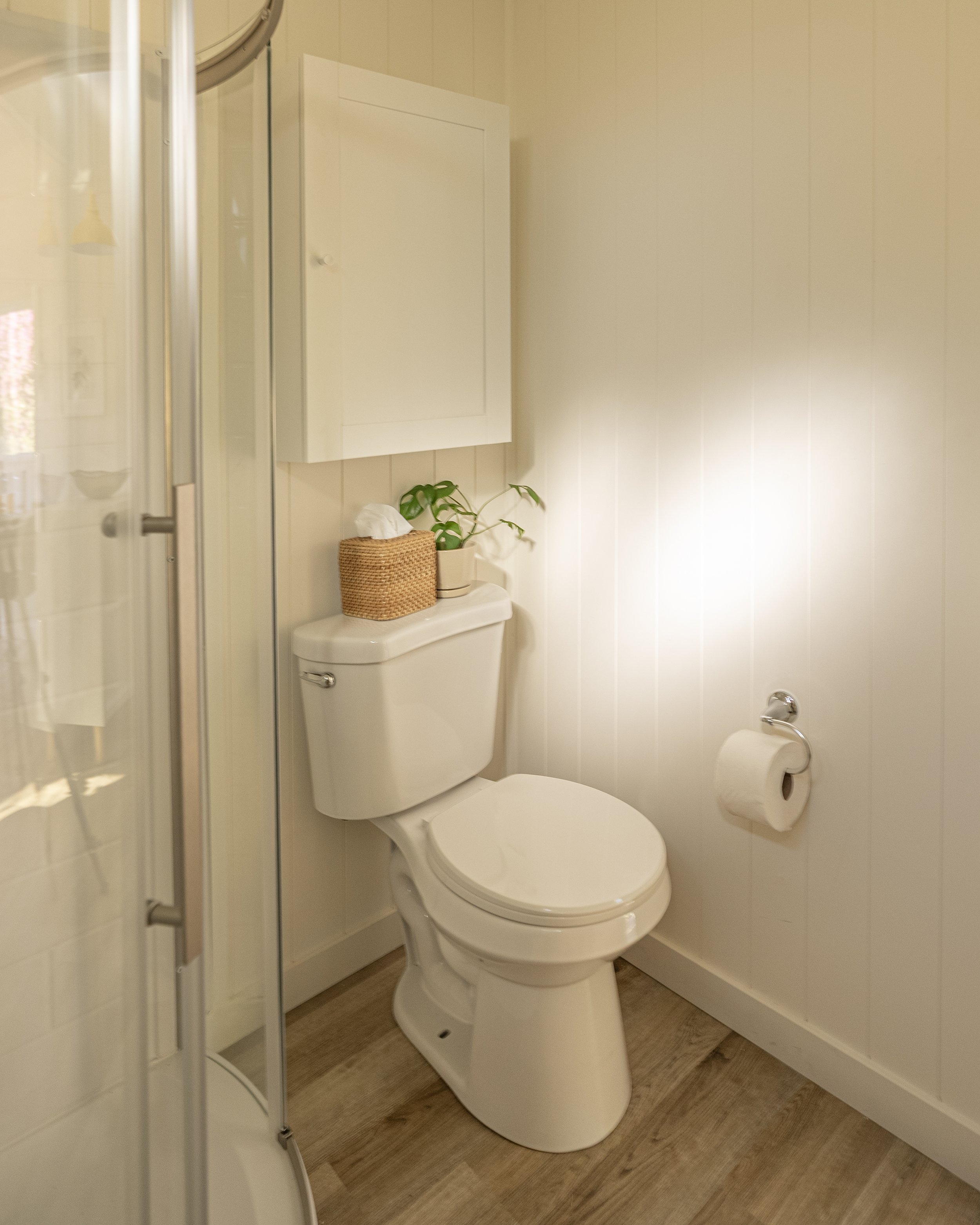 A small bathroom with a white toilet, a wall cabinet, a potted plant, tissue box, and a roll of toilet paper on a holder. Part of a shower stall is visible on the left. The floor is wood and the walls are paneling.