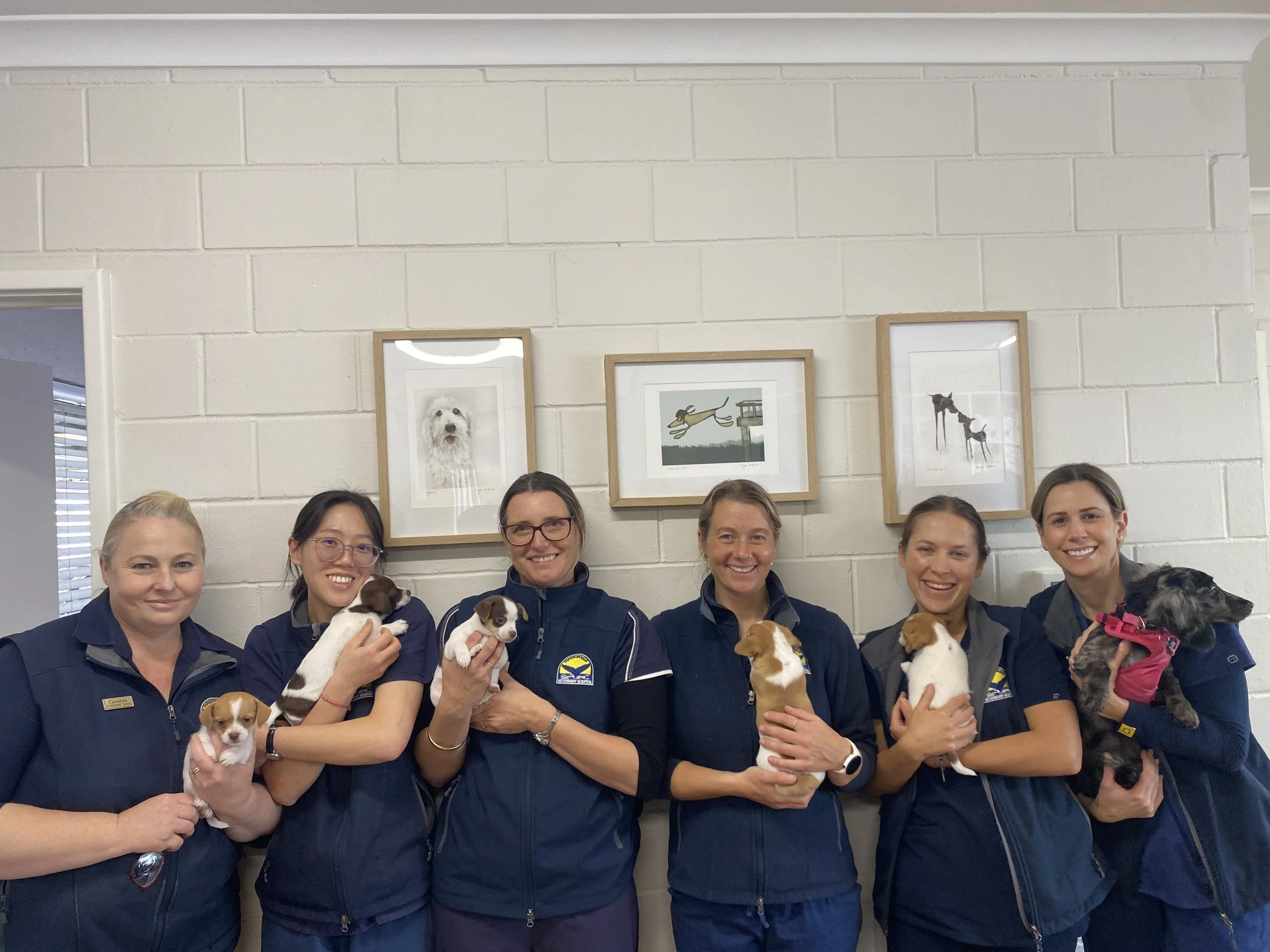 Dunsborough Vet Hospital