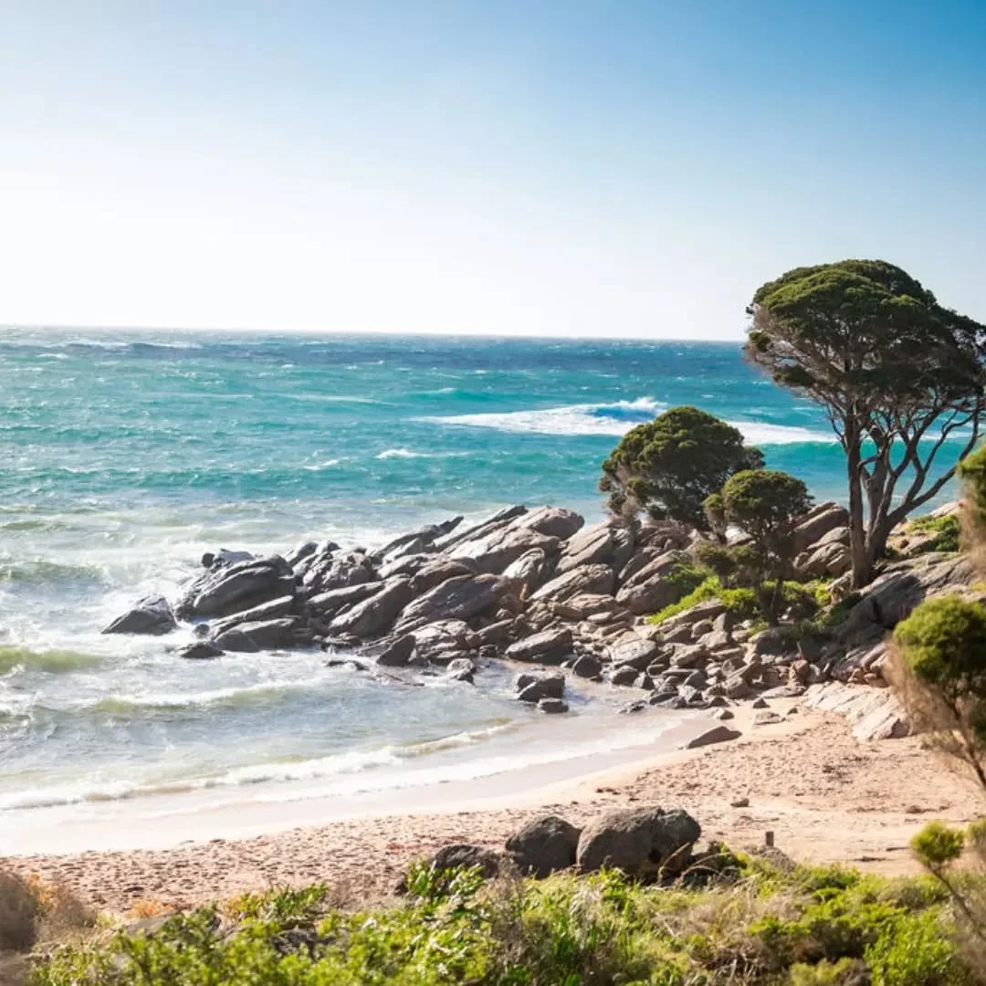 There's a version of Bunker Bay most people don't expect ~ blue skies, warm light, barely another soul on the sand 🌊 

Winter here brings quiet magic. The scent of salty air, the roar of the ocean heard from your villa, flocks of white tailed black 