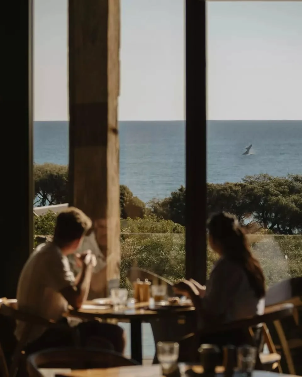 The whales are putting on a great show, distracting guests from their meals! 😆🐳

@othersideofthemoonbunkerbay isn't just for guests staying here at the resort ~ everyone is welcome to enjoy a drink or delicious meal here. 

Bookings are always reco