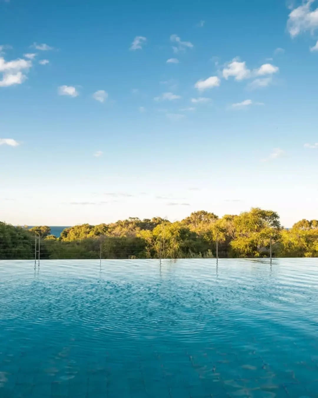 Whales are breaching in the bay right in front of us, wildflowers are blossoming in a rainbow of colours and we're soaking up the warm spring sunshine here in Bunker Bay.

Exciting events across the region inspired us to create a Stay Longer, Save Mo