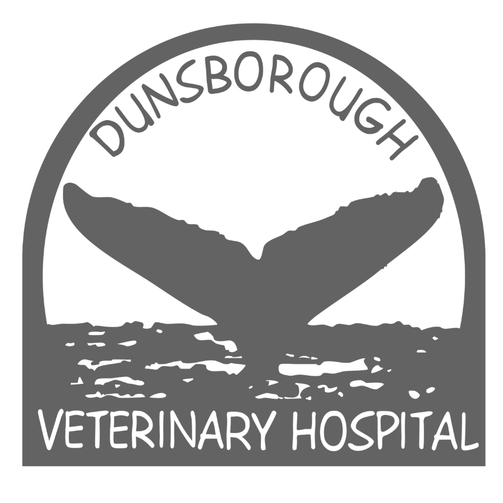 A grayscale logo for Dunsborough Veterinary Hospital featuring a dog and cat silhouette above water with the text "Dunsborough Veterinary Hospital" around the top and bottom.
