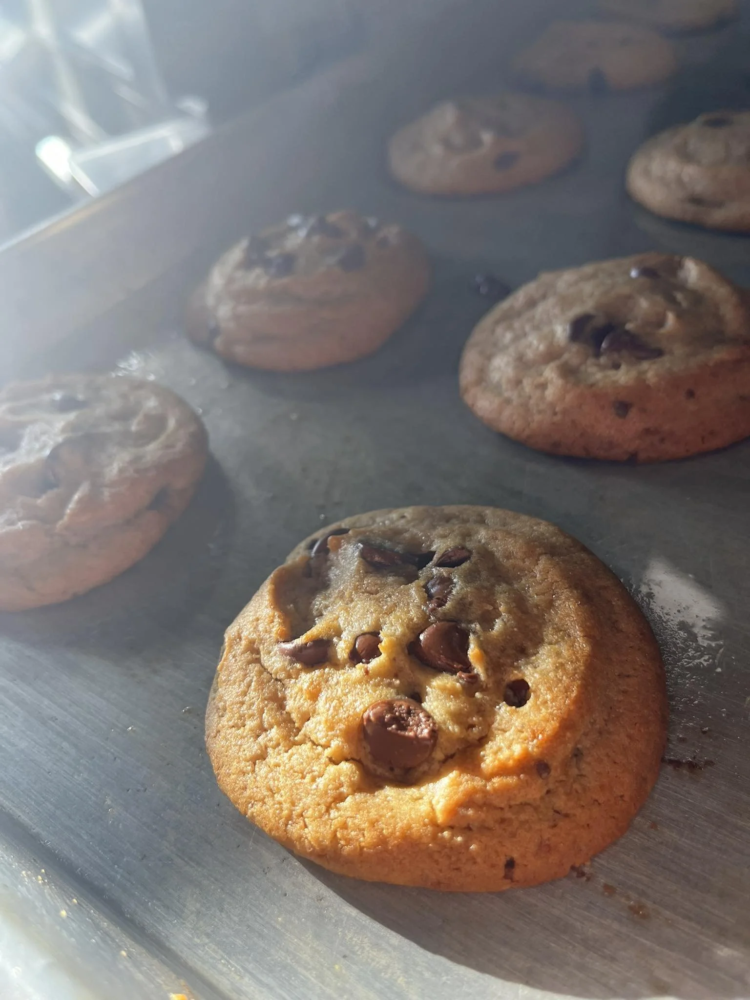 Chocolate chip cookies cooling on a metal tray.
