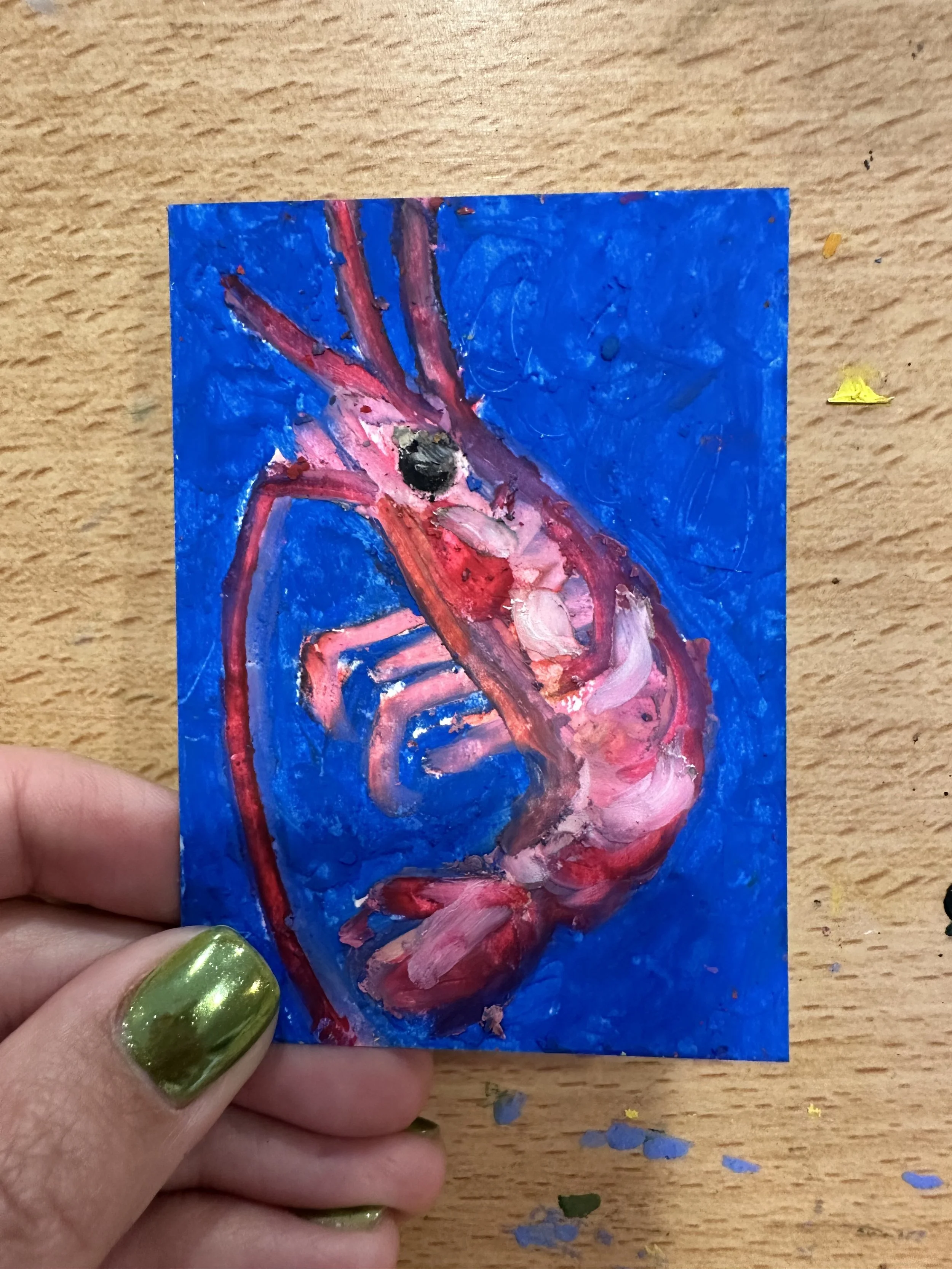 "shrimp" mini